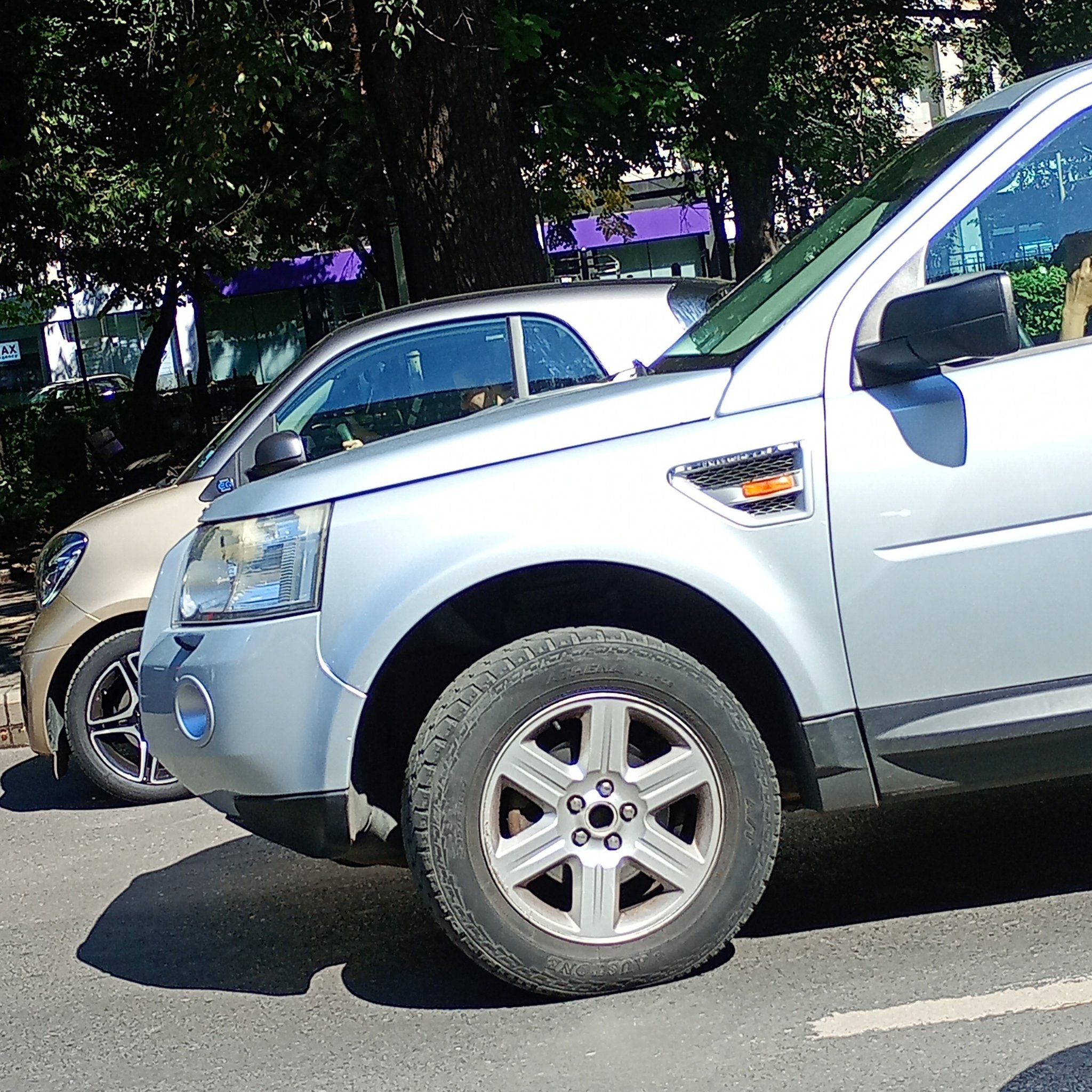 2006 Land Rover Freelander (L359)