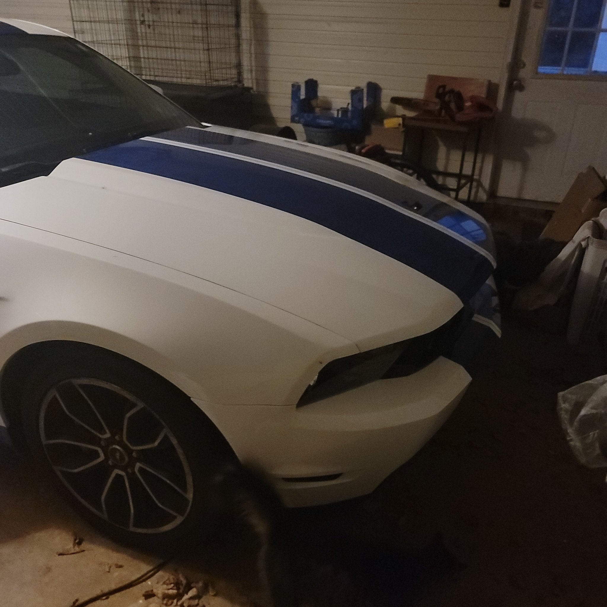 2005 Ford Mustang (S197)