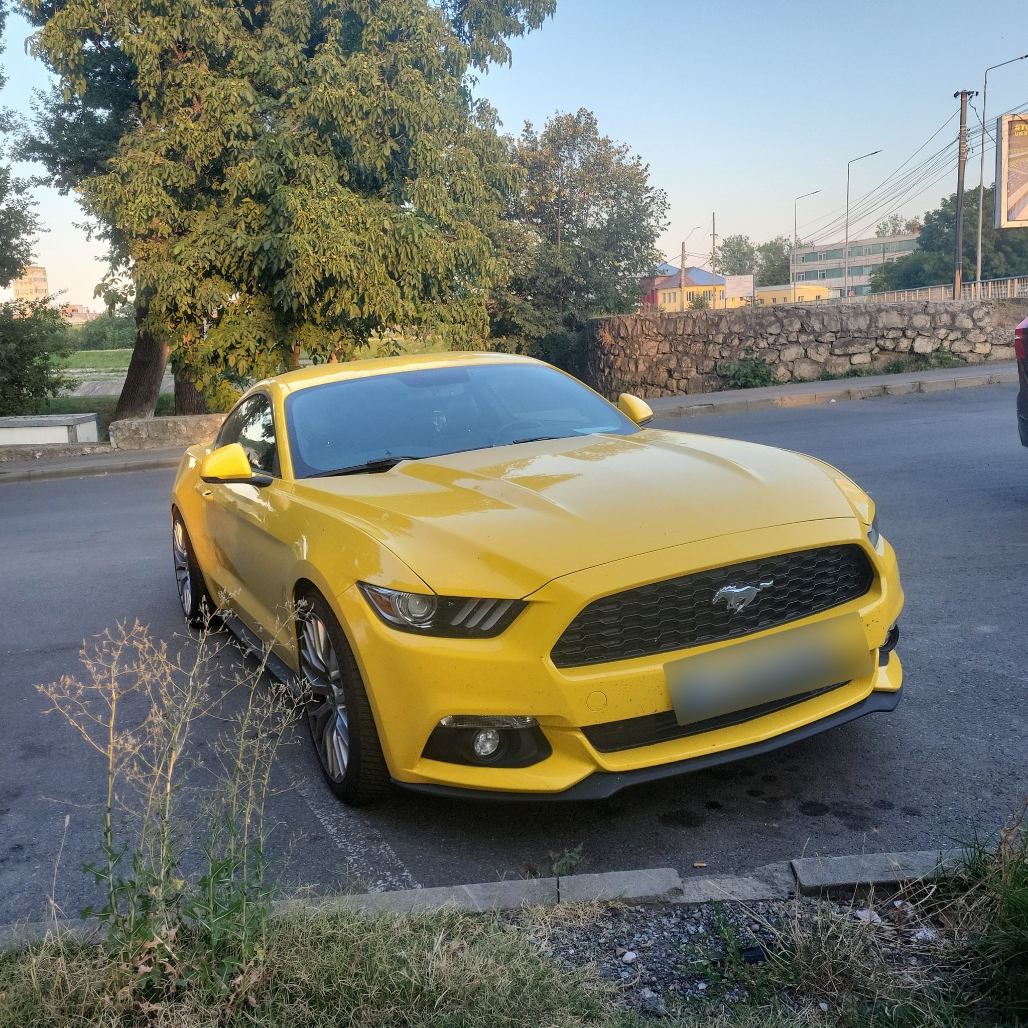 2015 Ford Mustang (S550)