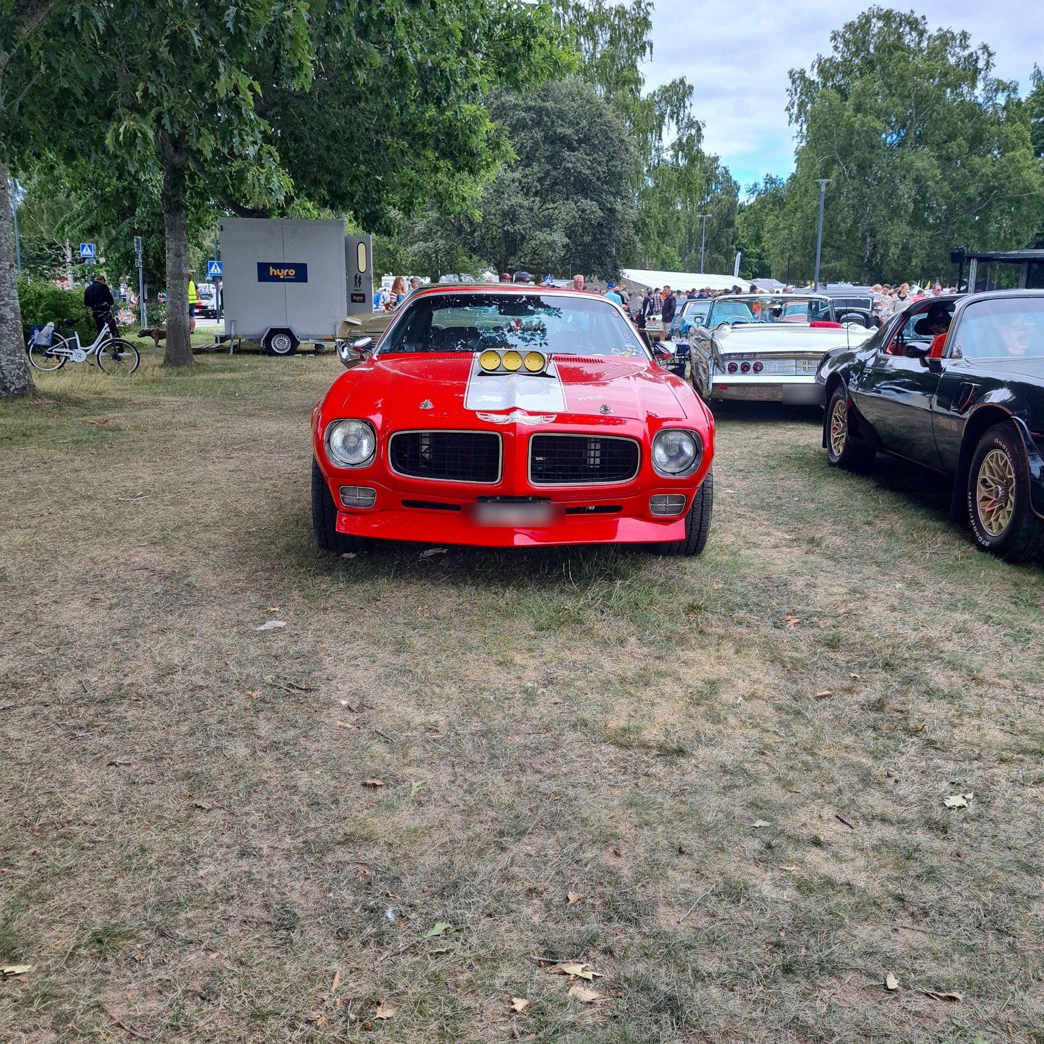 1977 Pontiac Firebird Trans Am (Second Gen)