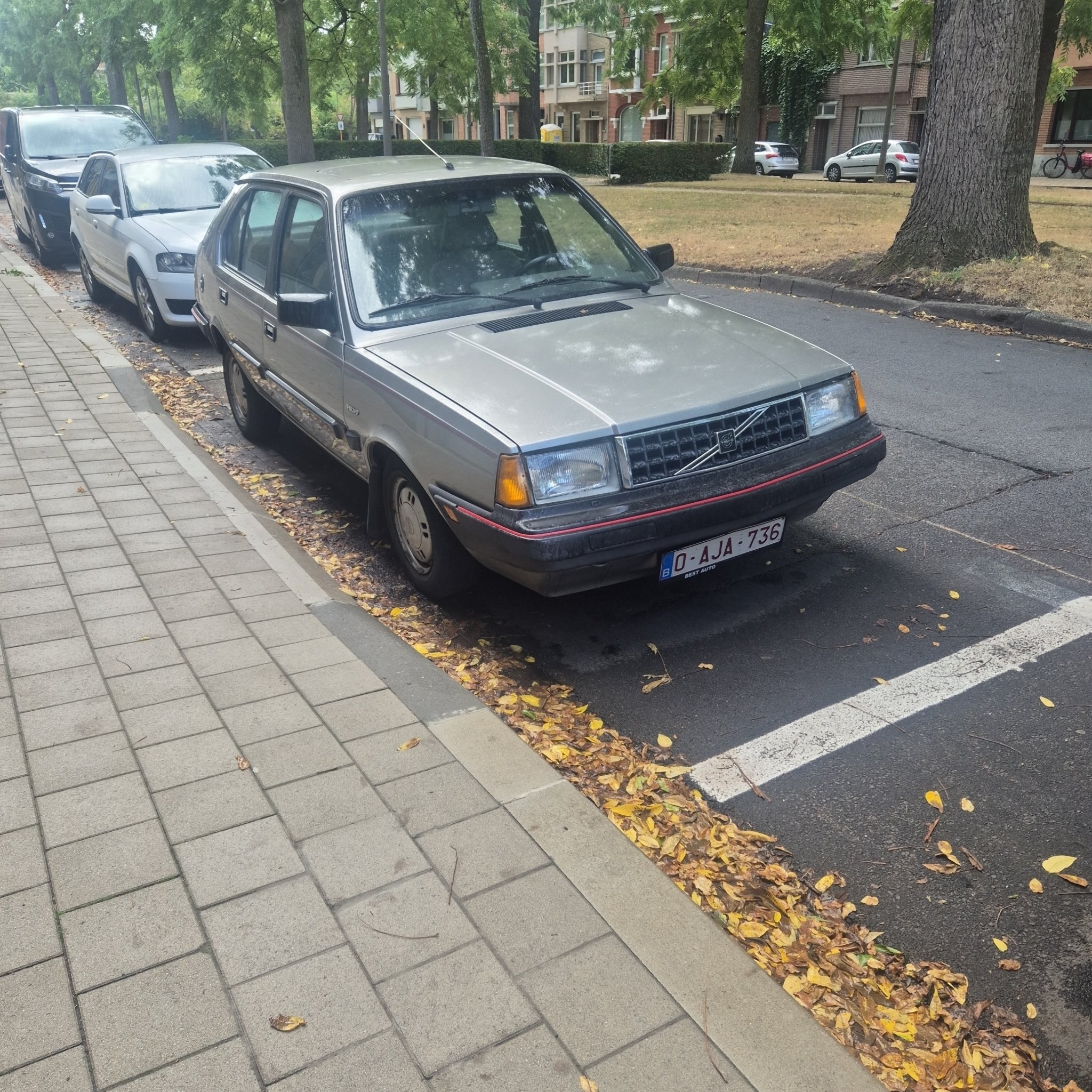 1976 Volvo 340