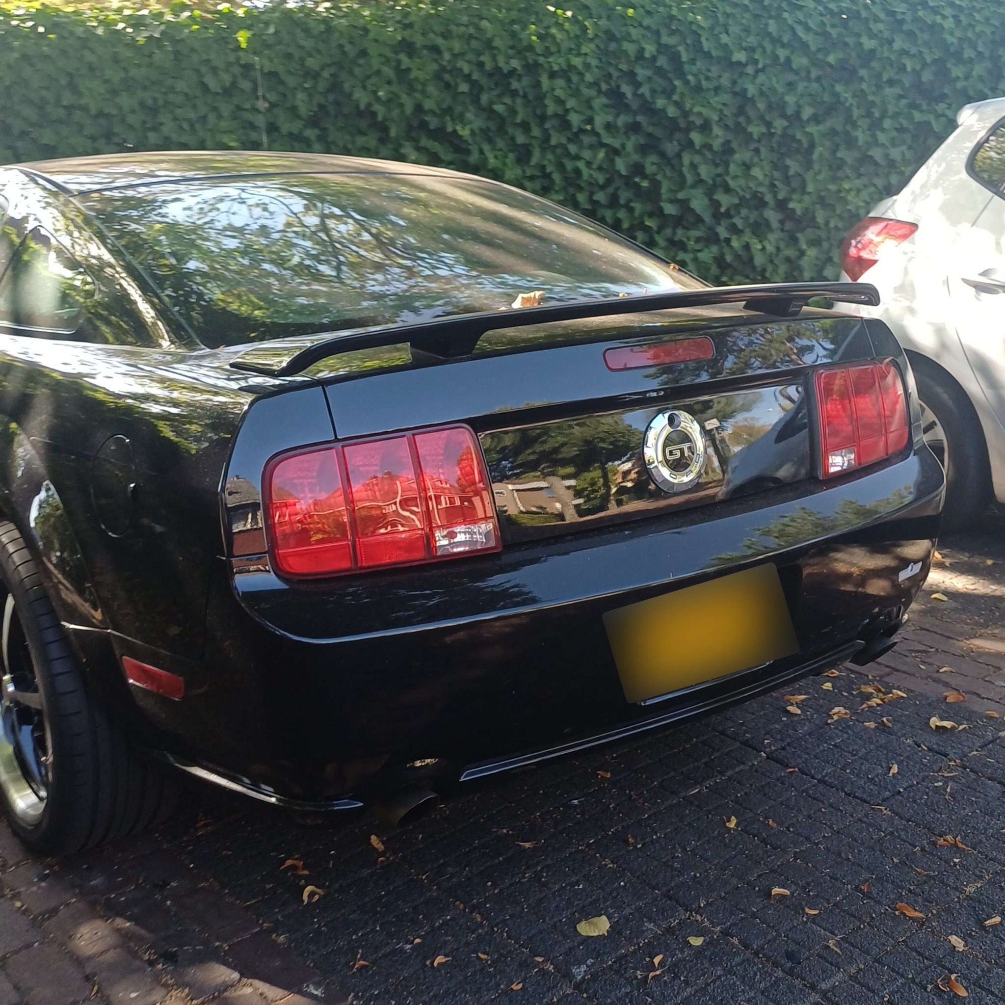 2005 Ford Mustang (S197) GT