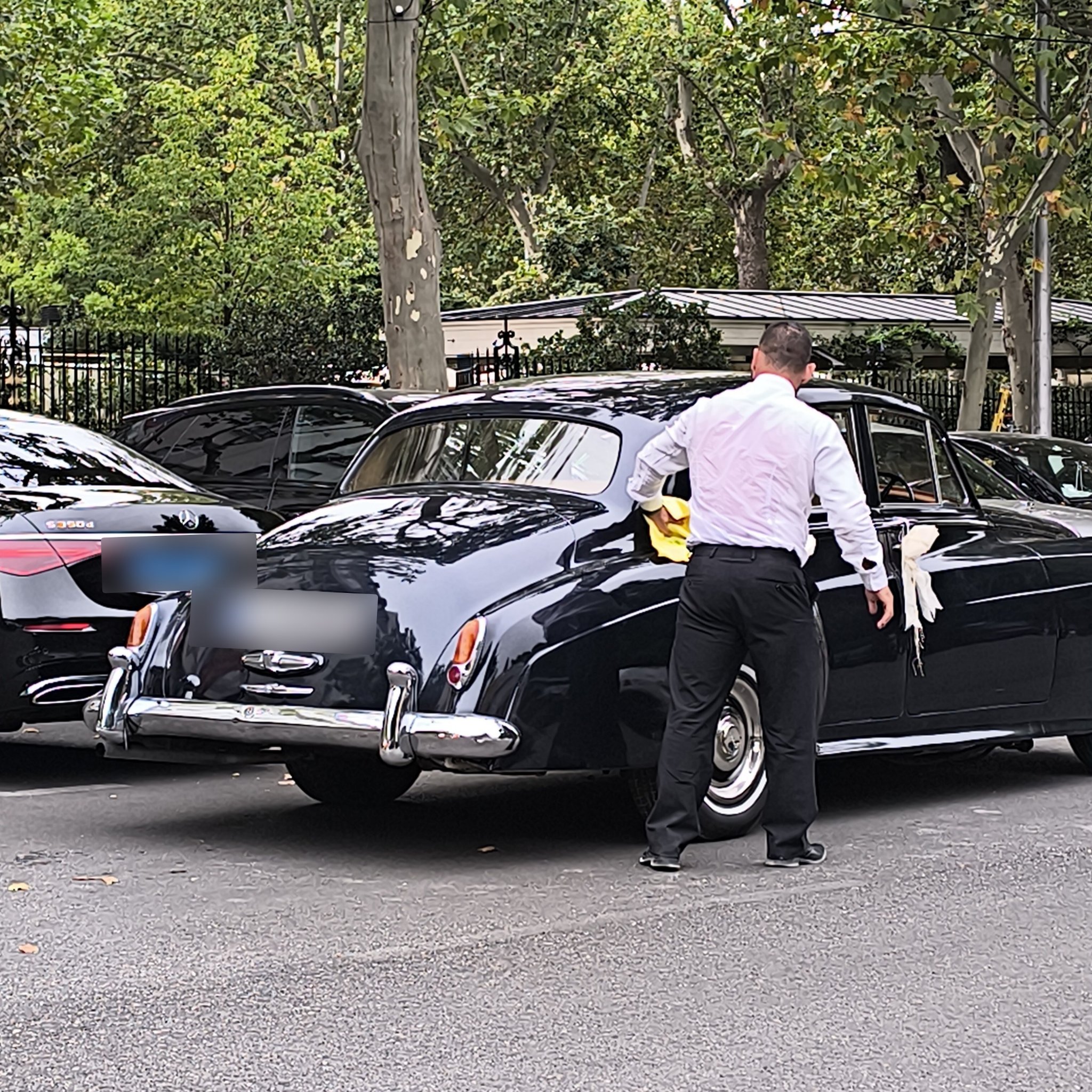 1955 Rolls-Royce Silver Cloud (I)