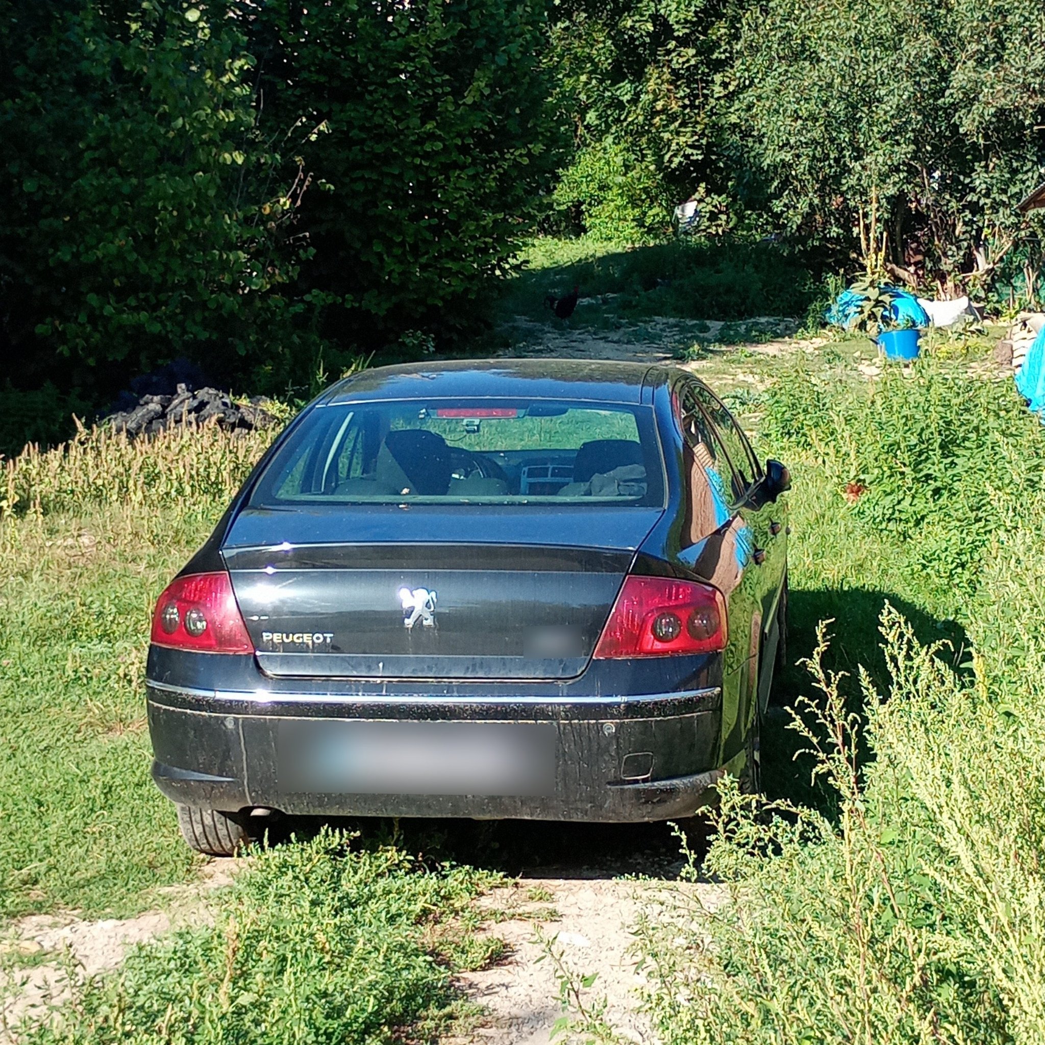 2004 Peugeot 407