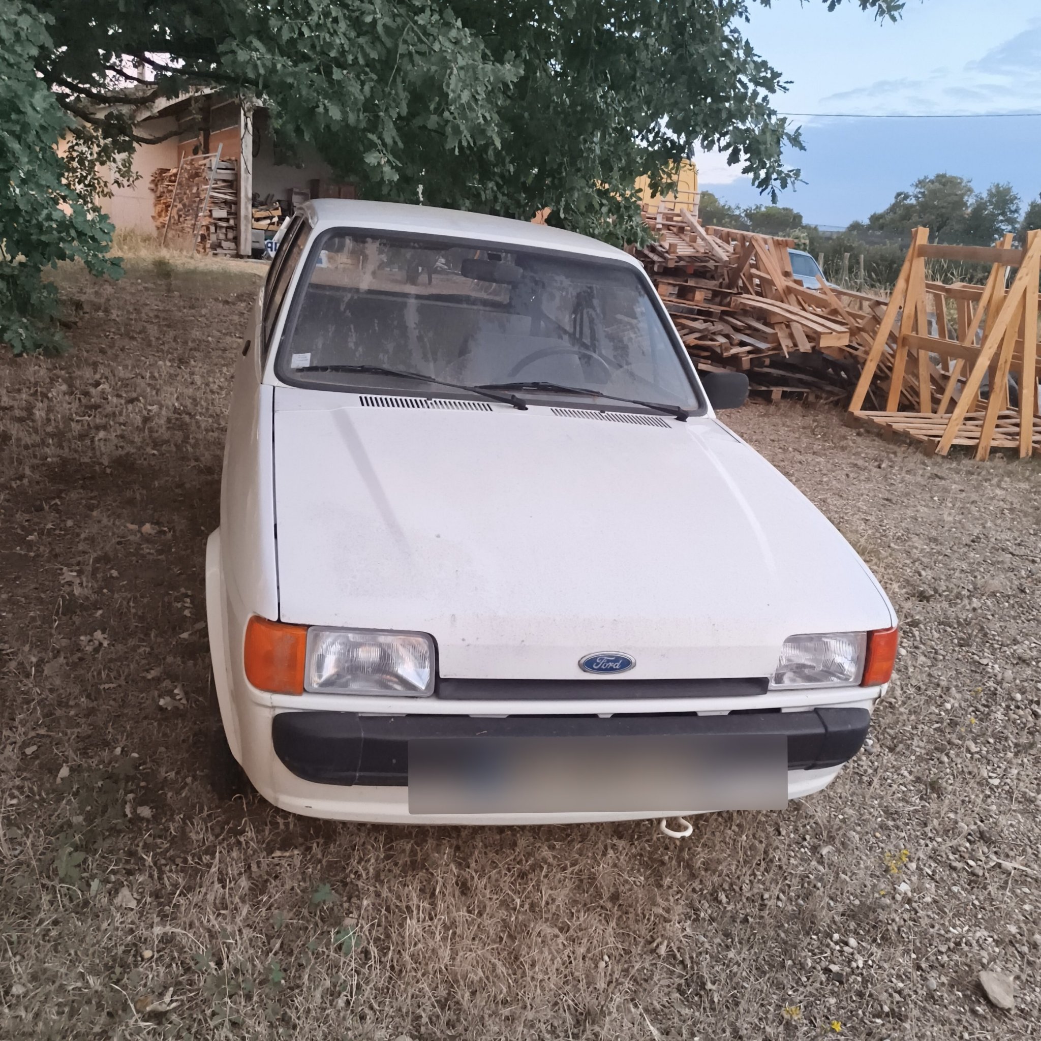 1983 Ford Fiesta (Mk2)