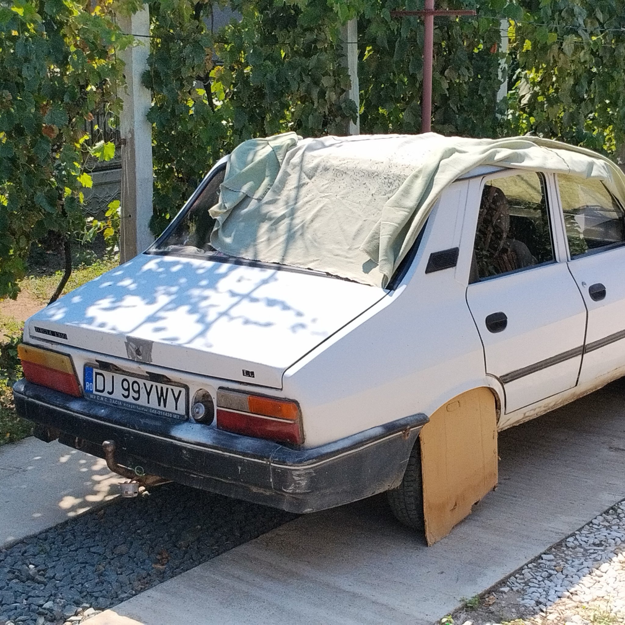 1979 Dacia 1310