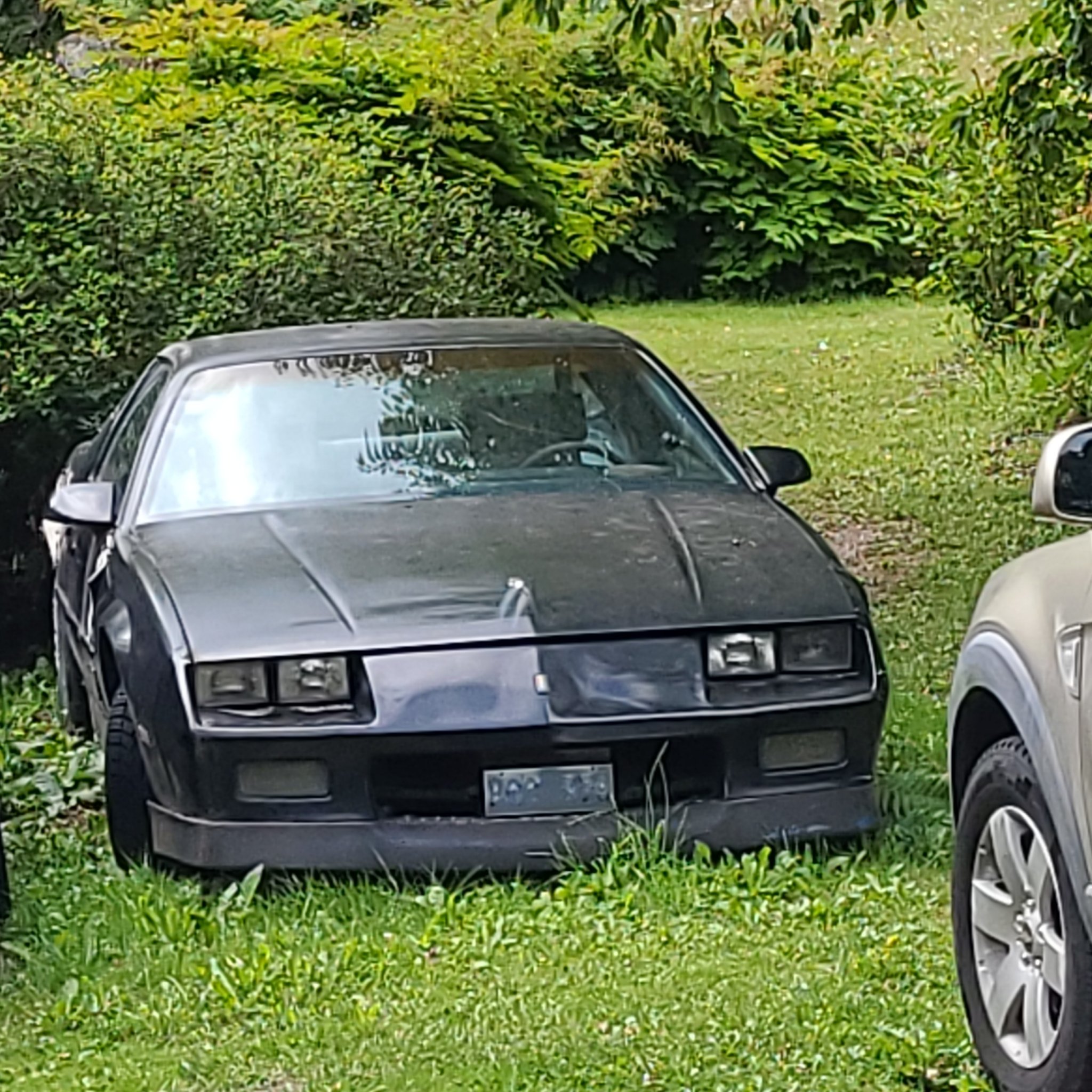 1982 Chevrolet Camaro (F-body 3rd Gen)