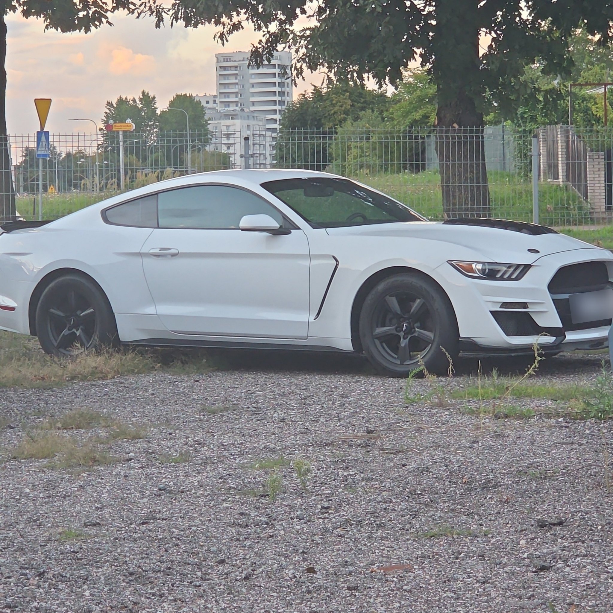2015 Ford Mustang Shelby GT350 (S550)