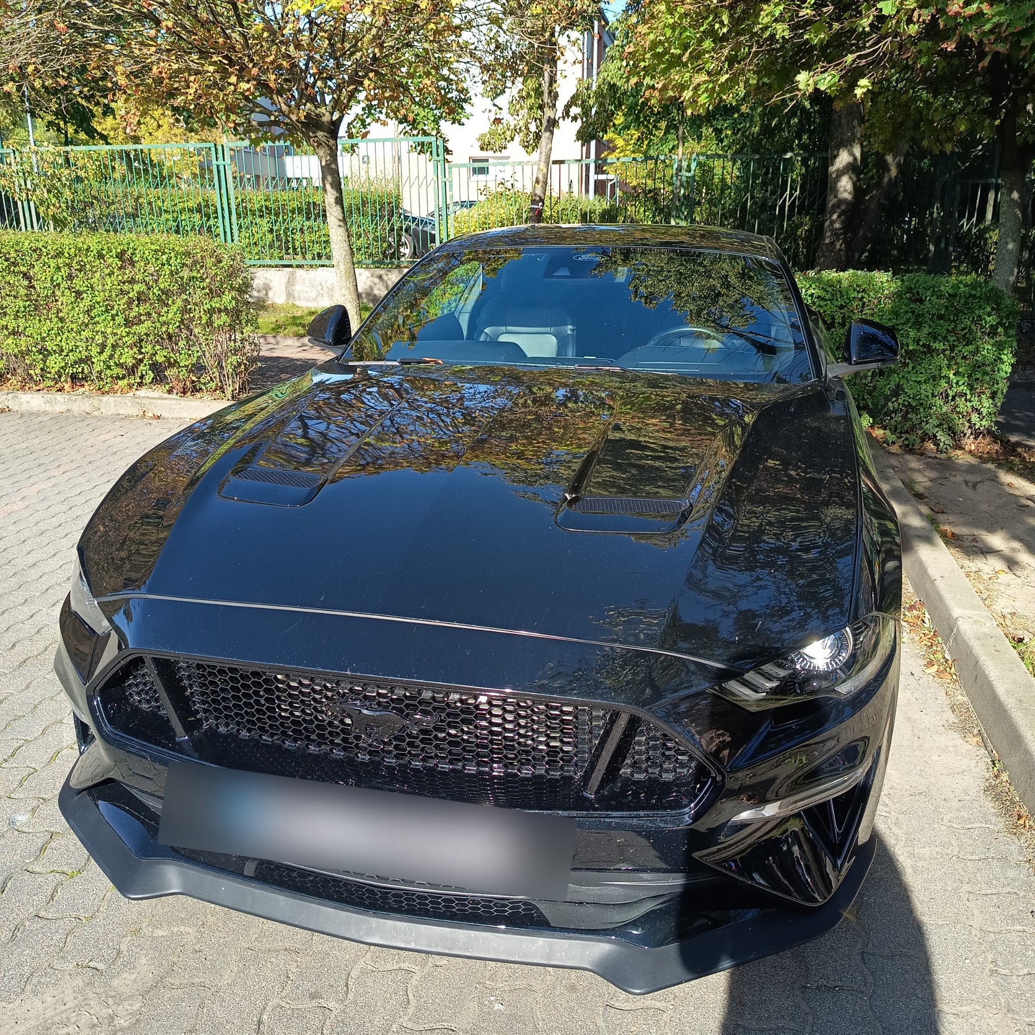 2015 Ford Mustang (S550) GT