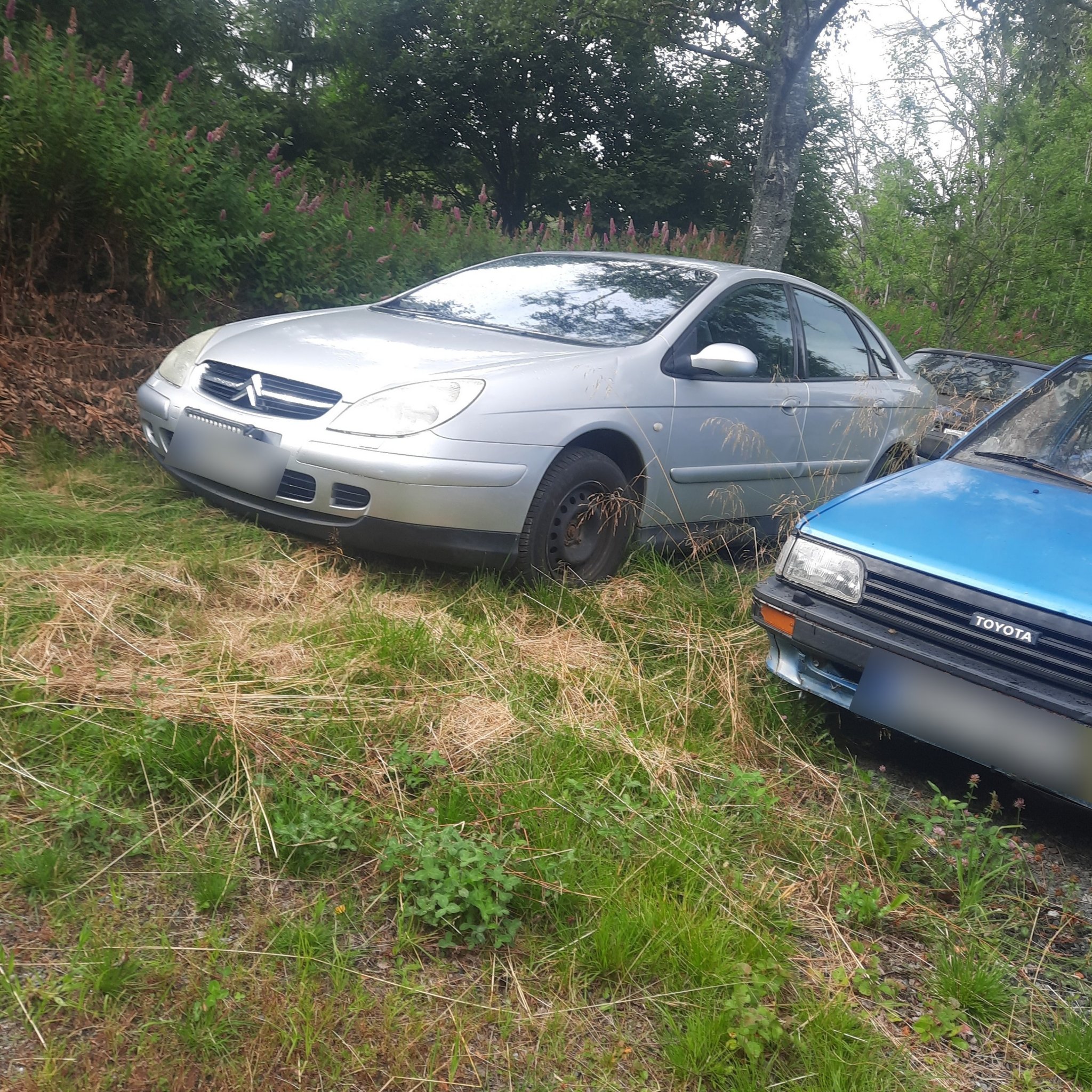 2001 Citroën C5 (Mk1)