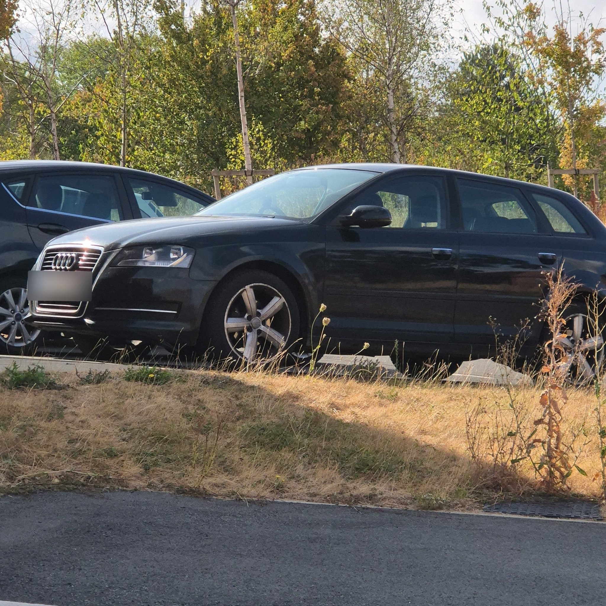 2004 Audi A3 (8P) Sportback