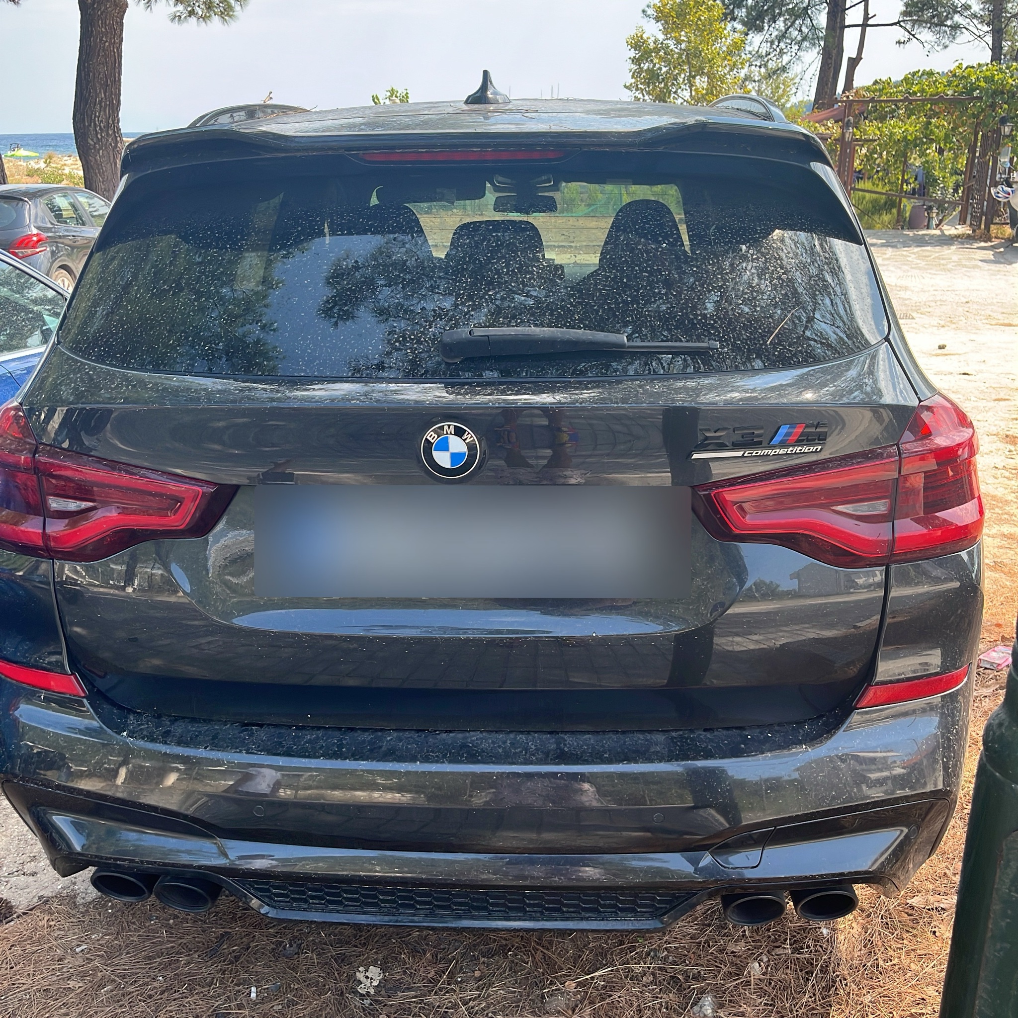 2019 BMW X3 M (F97) Competition