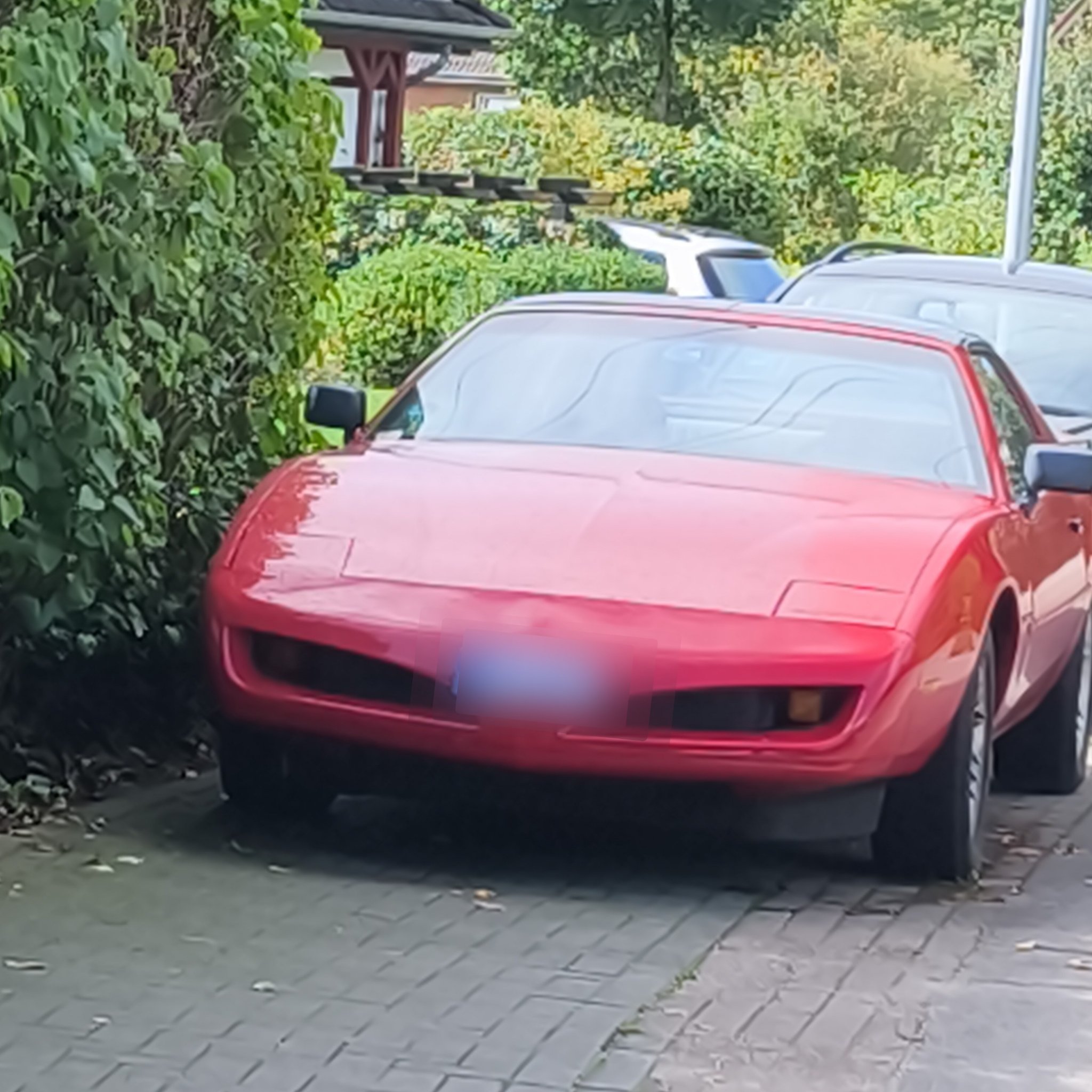 1982 Pontiac Firebird (3rd Gen)