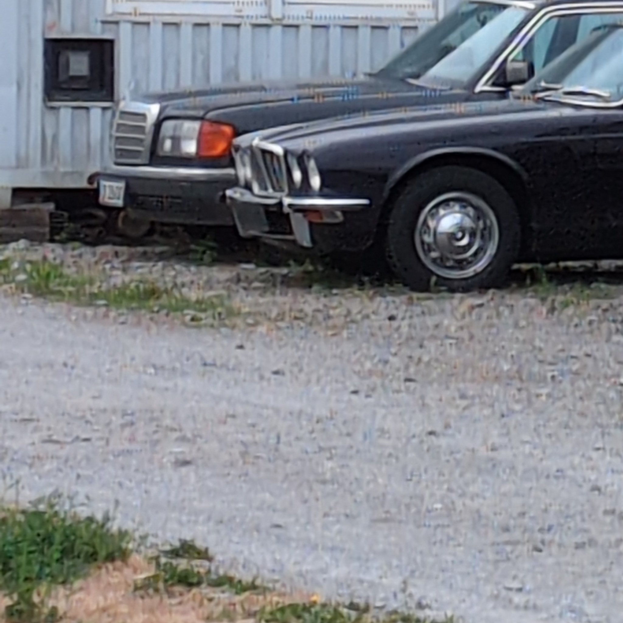 1979 Jaguar XJ (Series 3)