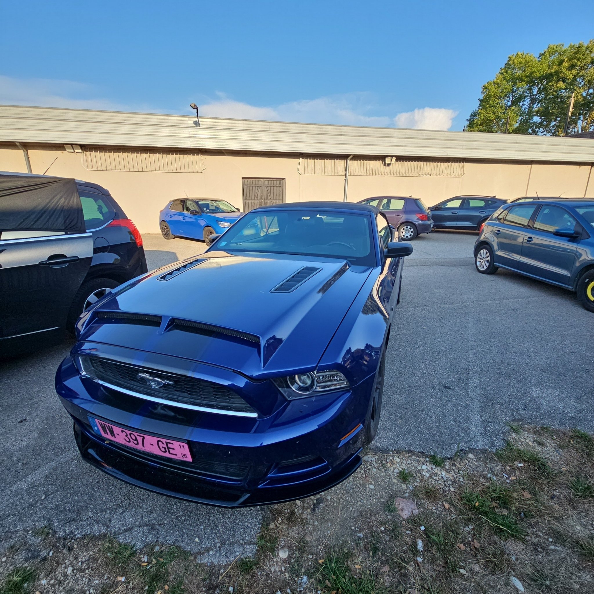 2005 Ford Mustang (S197) GT