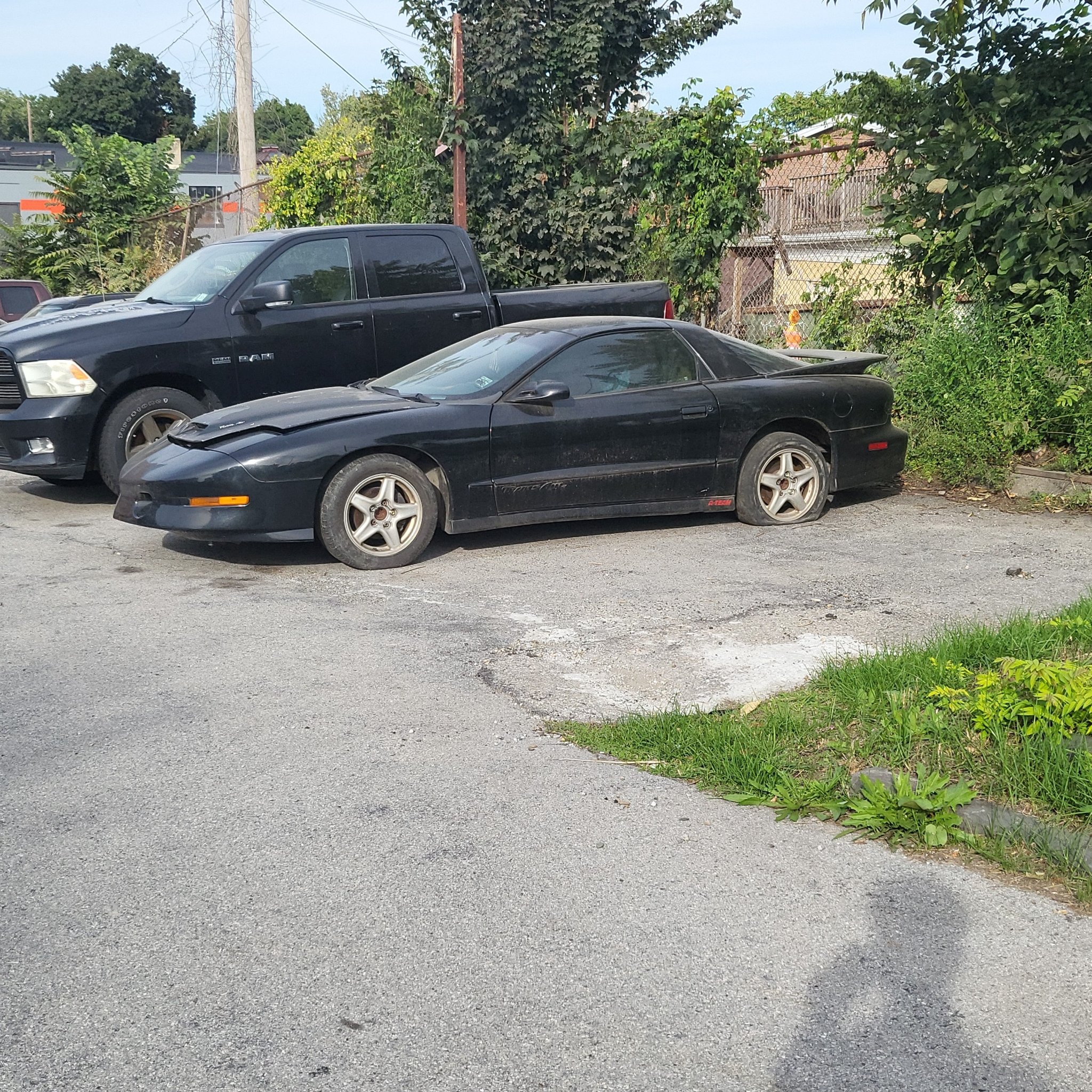 1993 Pontiac Firebird (F-body) Trans Am