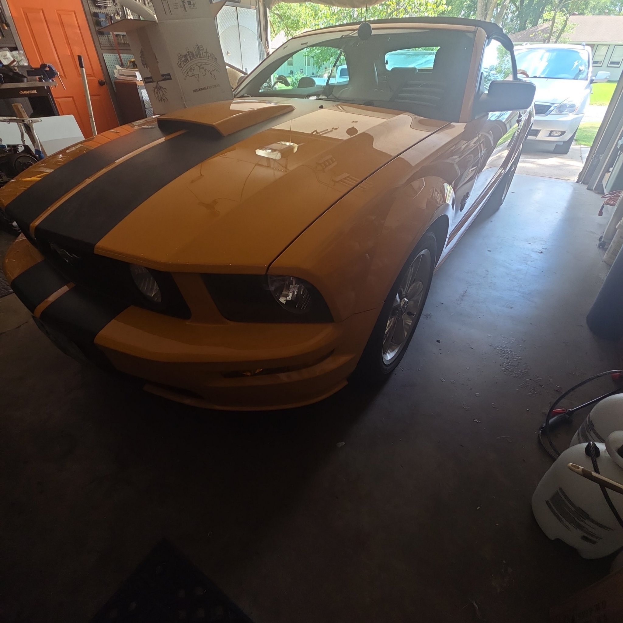 2005 Ford Mustang (S197) GT 45th Anniversary Convertible