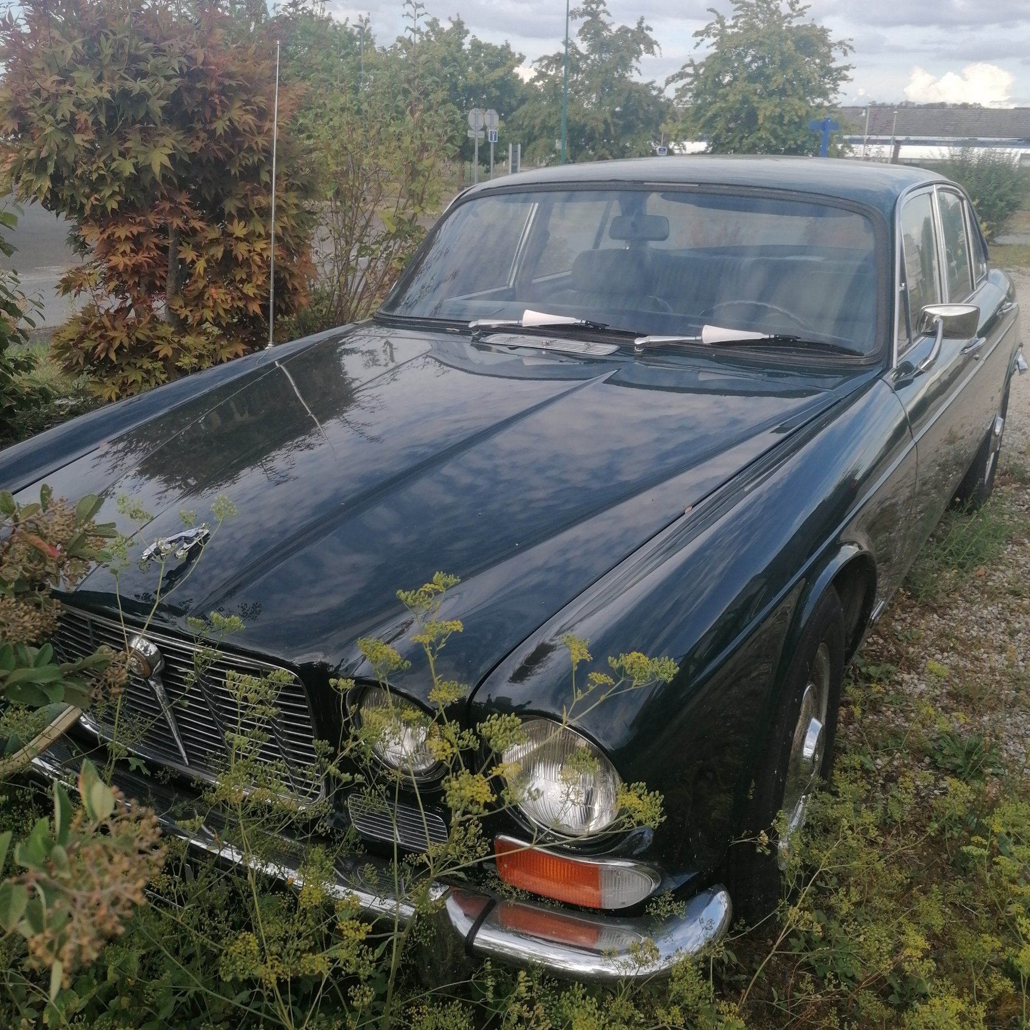 1968 Jaguar XJ (Series 1)