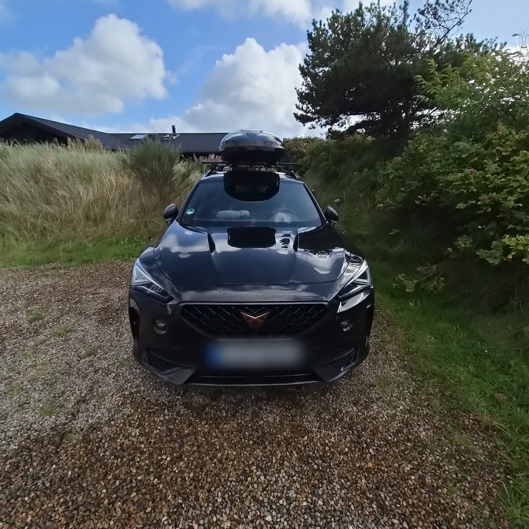 2020 Cupra Formentor