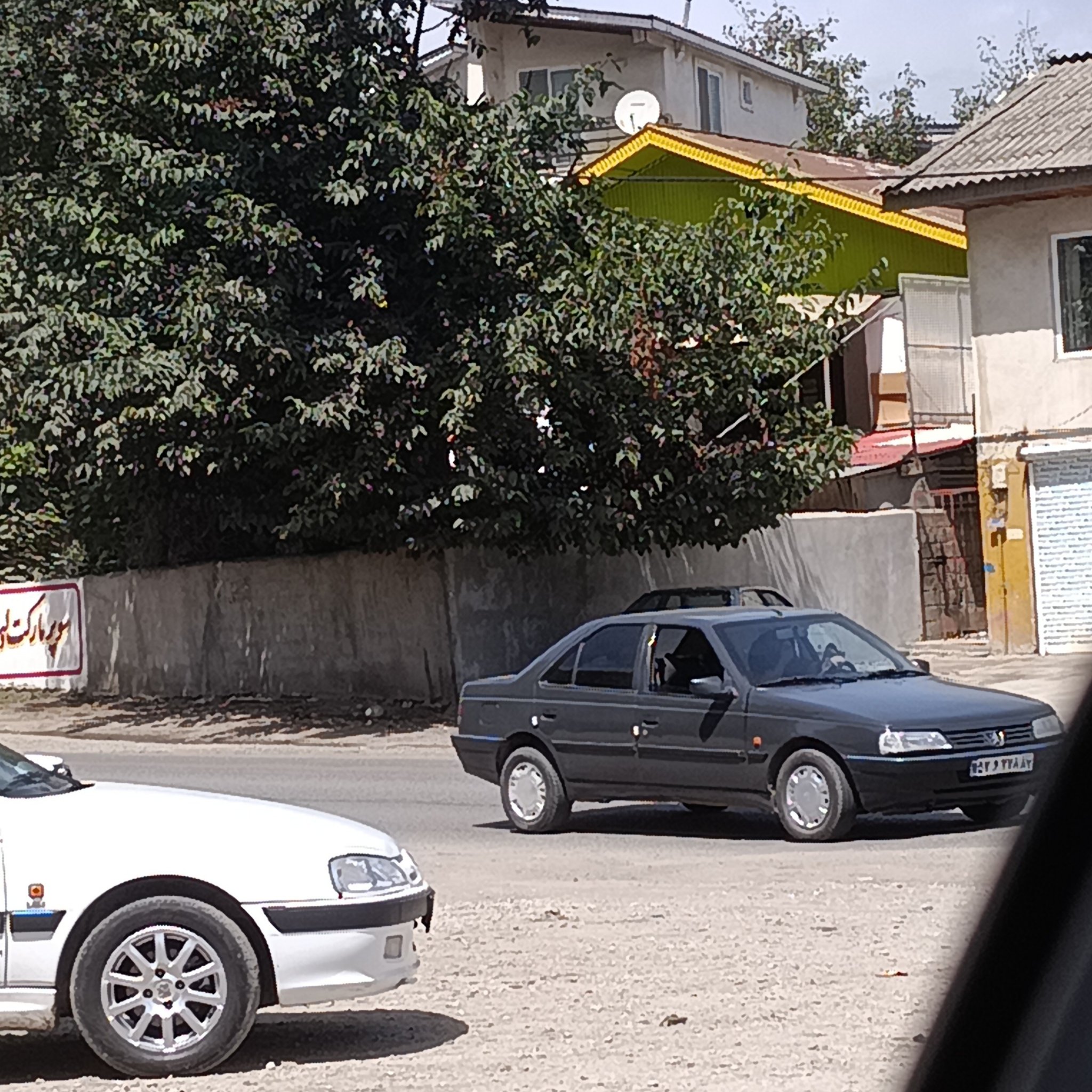 1987 Peugeot 405