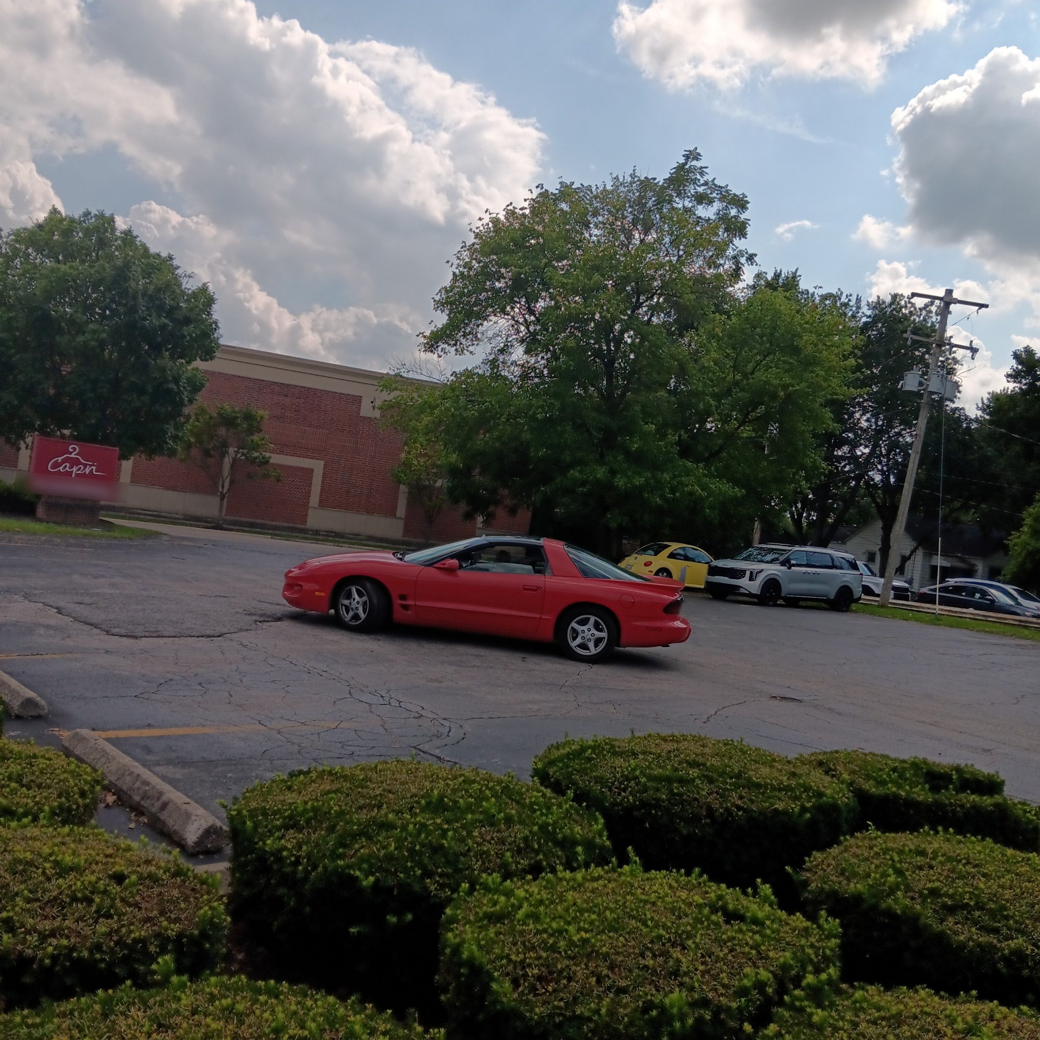 1993 Pontiac Firebird (Fourth Gen)