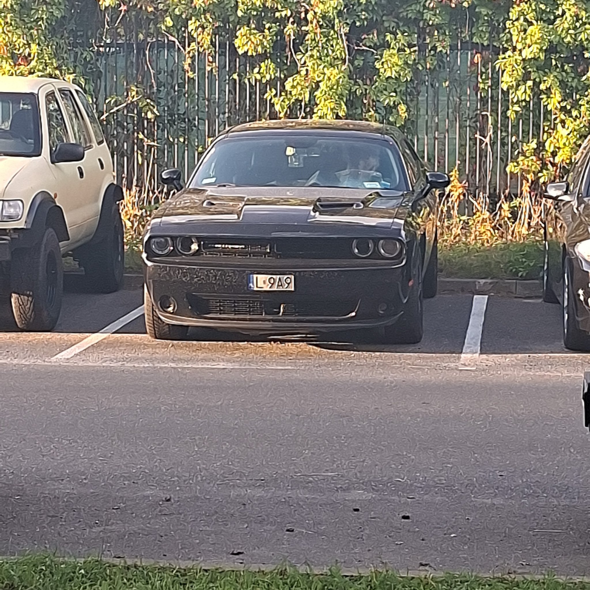 2008 Dodge Challenger (LC)