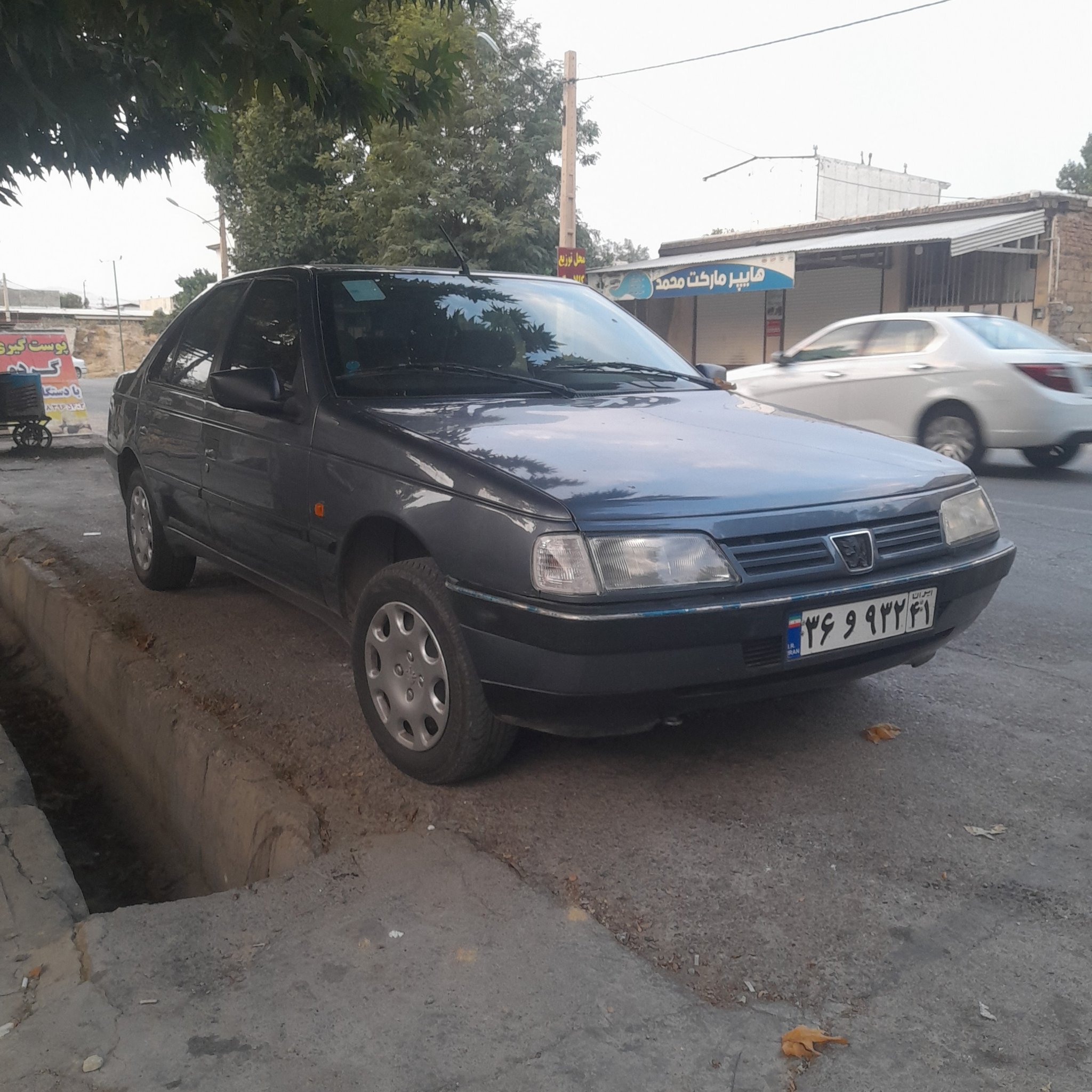 1987 Peugeot 405