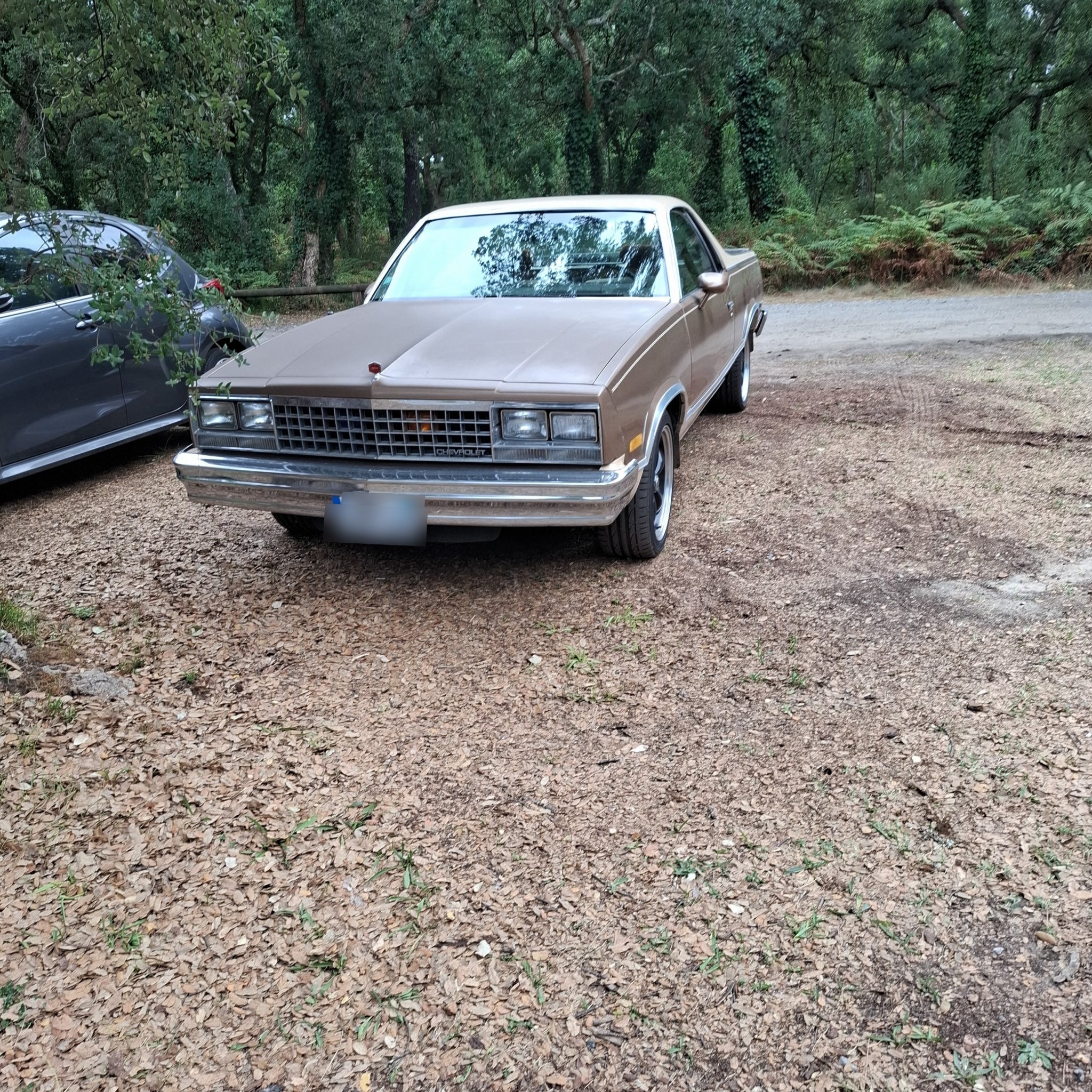 1982 Chevrolet El Camino (5th Gen)