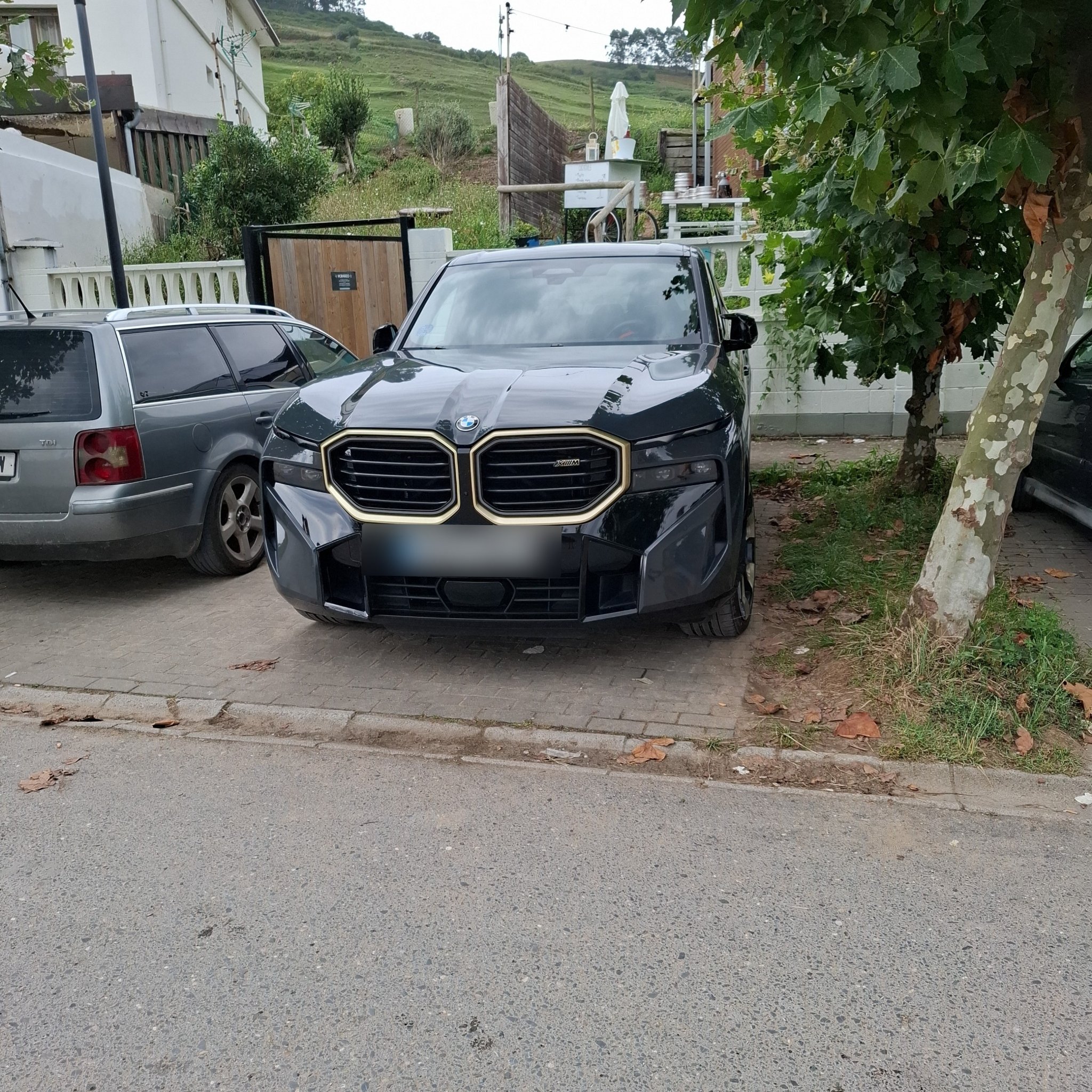2023 BMW XM (G09)