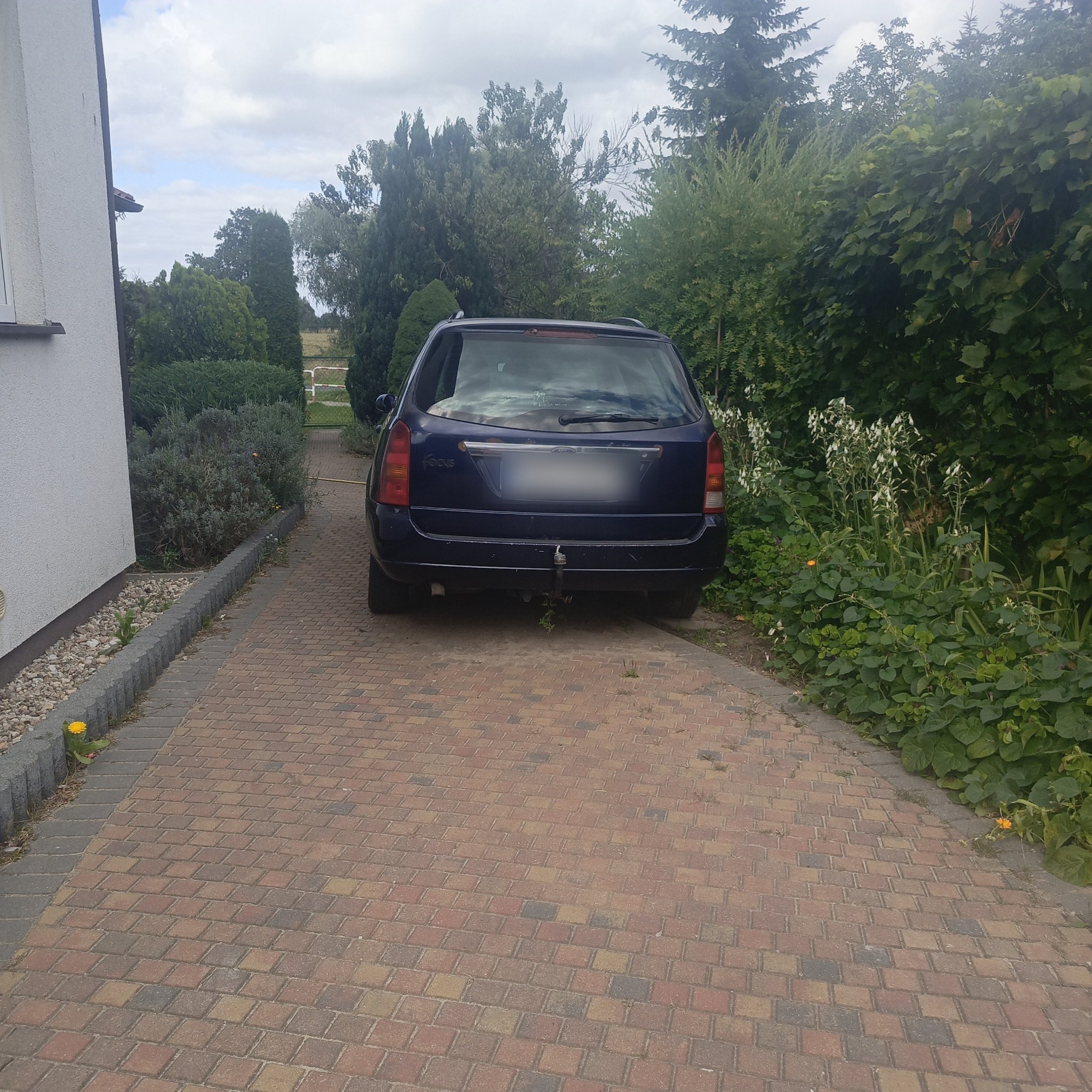 1999 Ford Focus (Mk1) Estate