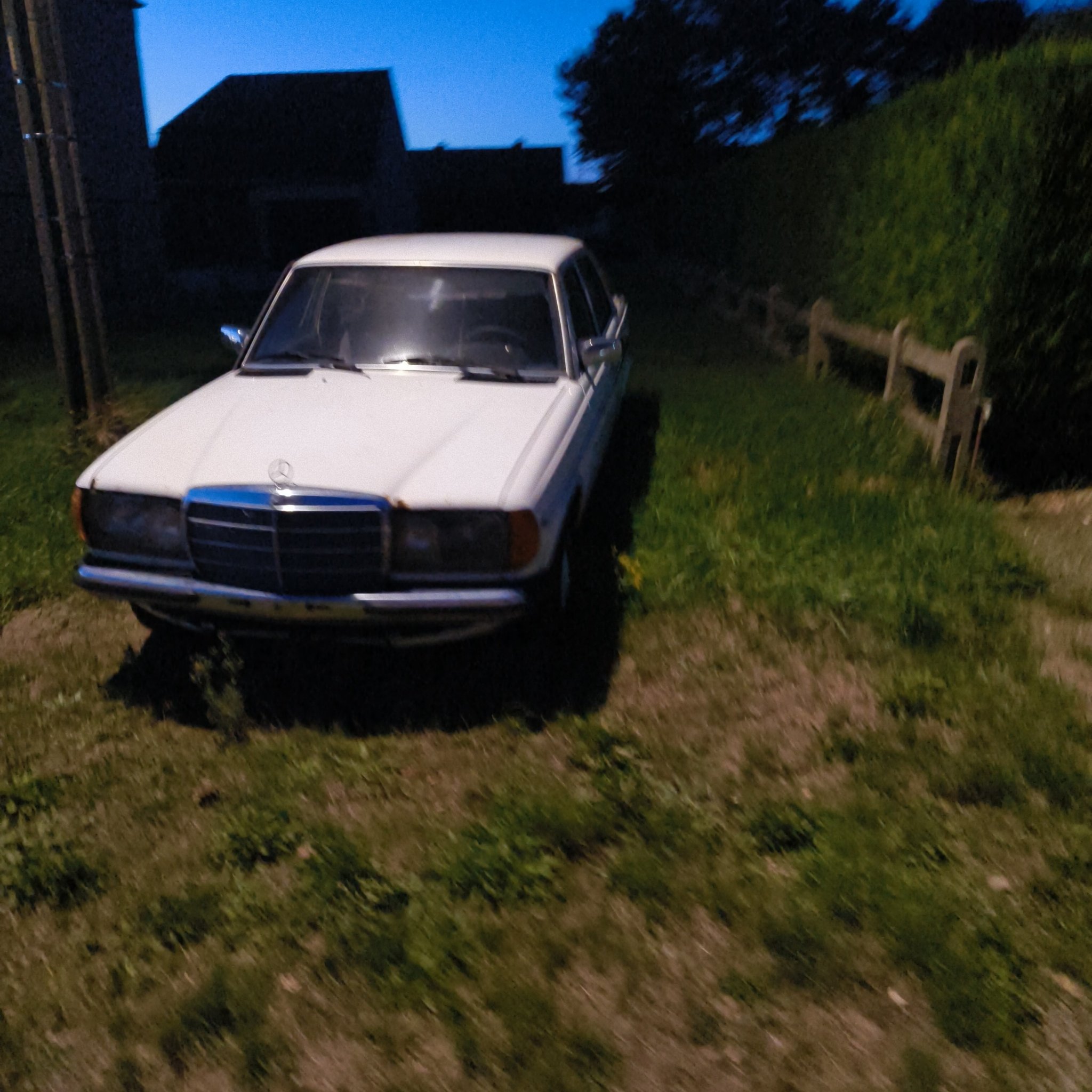 1976 Mercedes-Benz W123