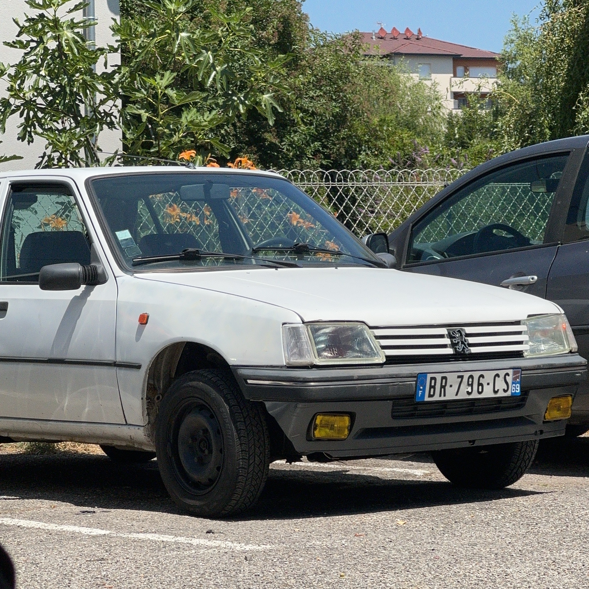 1983 Peugeot 205