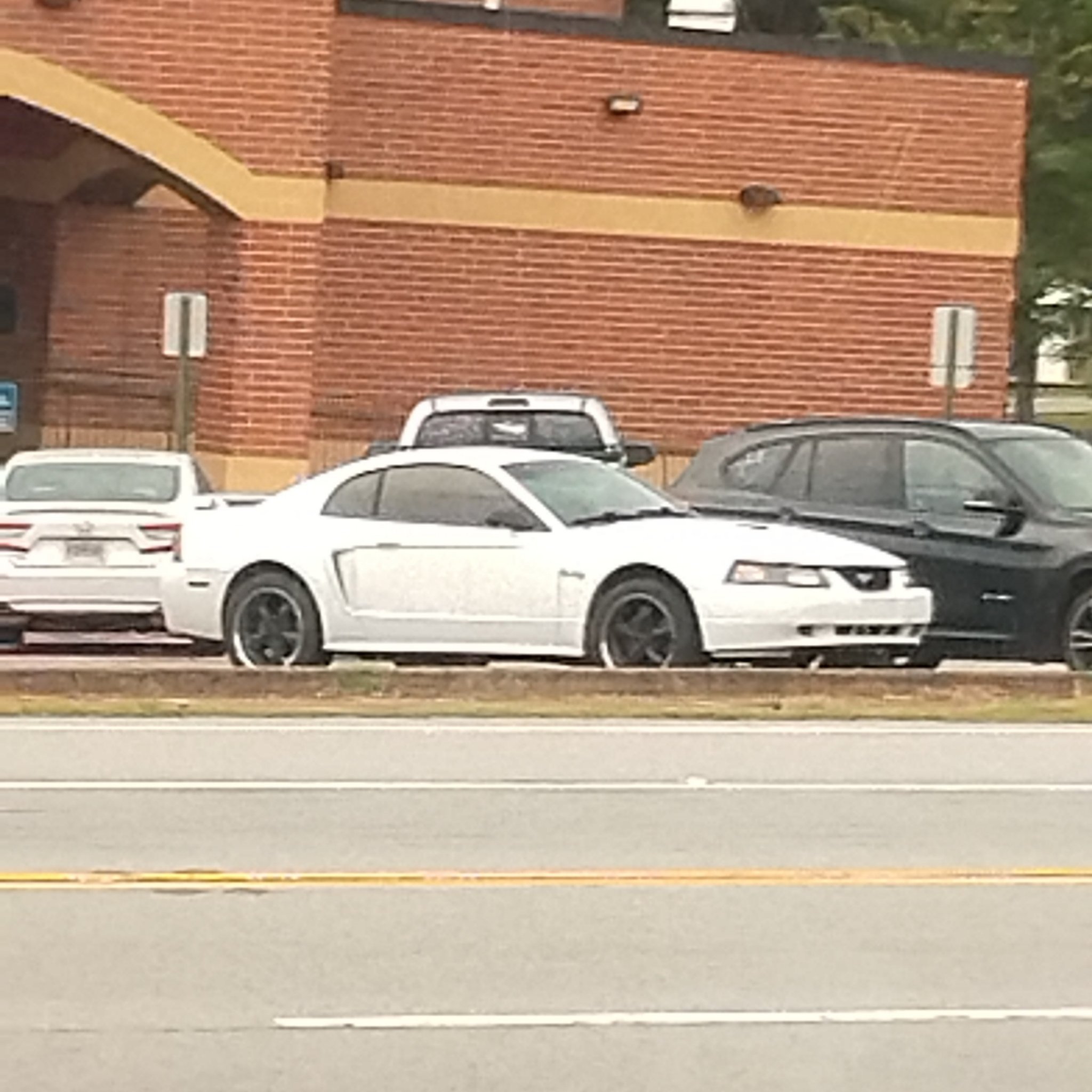 1994 Ford Mustang (SN95)