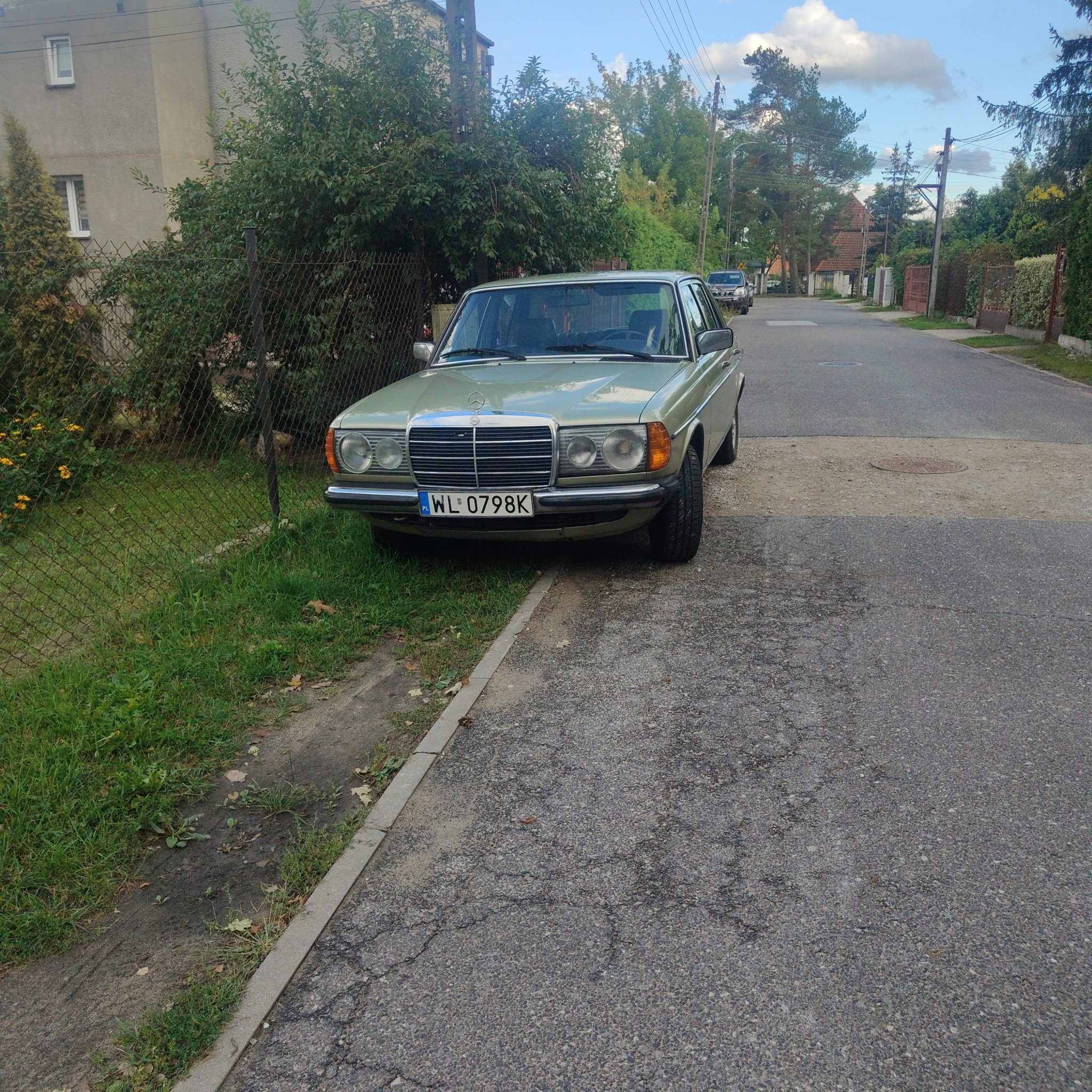 1976 Mercedes-Benz W123