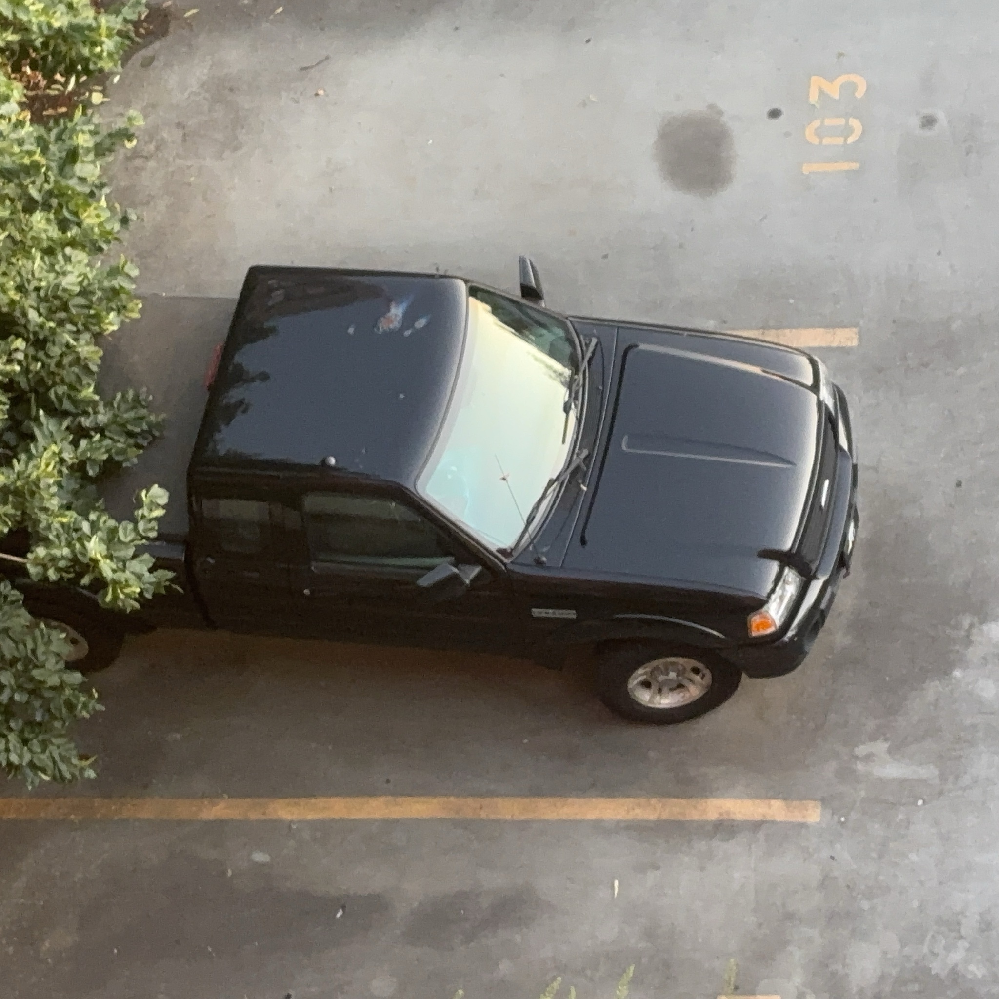 1998 Ford Ranger (P38)
