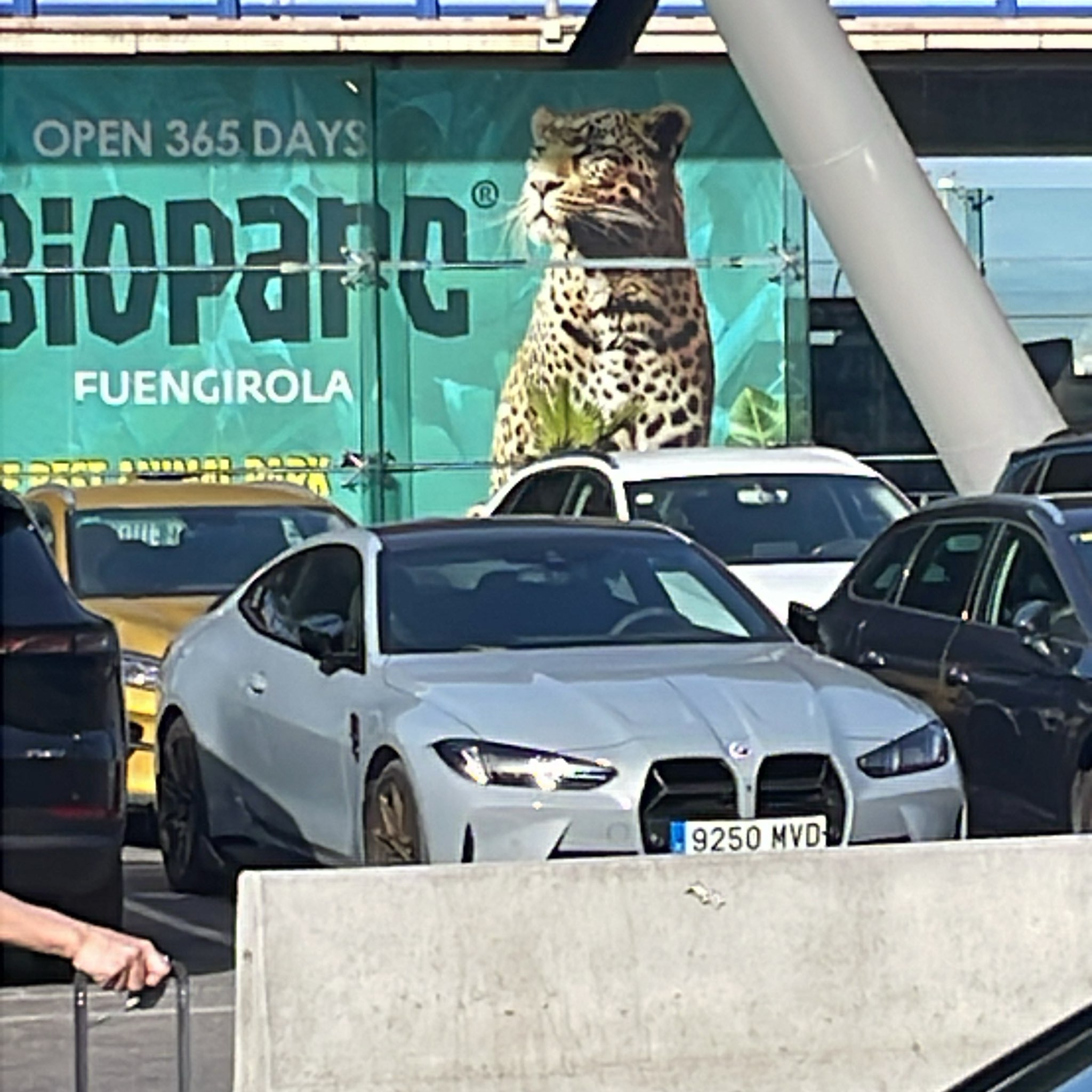 2021 BMW M4 (G82)