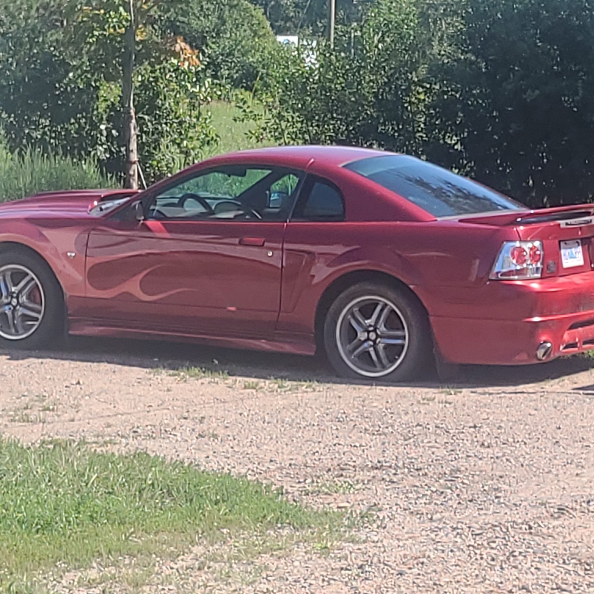 1993 Ford Mustang (SN95) SVT Cobra