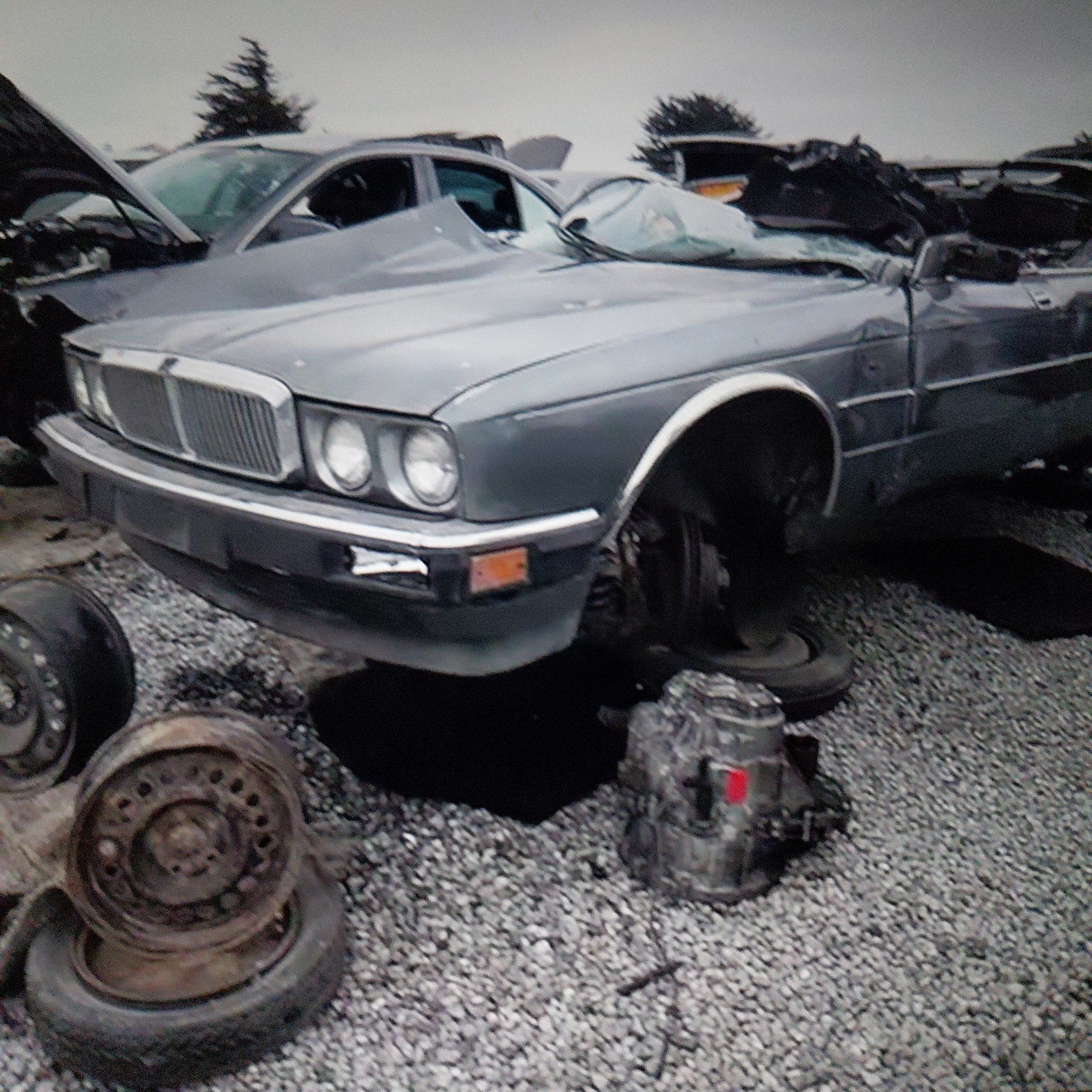 1986 Jaguar XJ (XJ40)