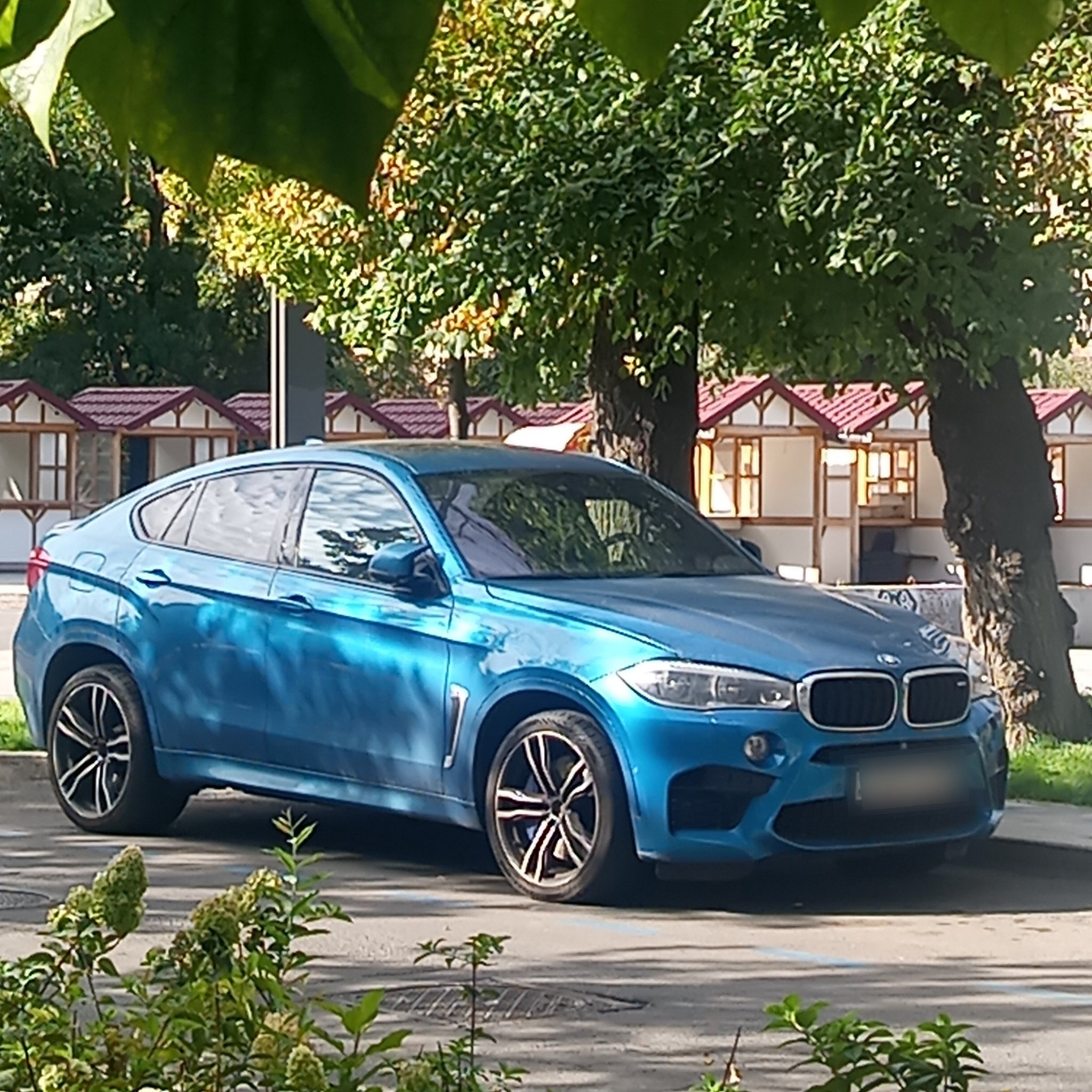 2014 BMW X6 M (F86)