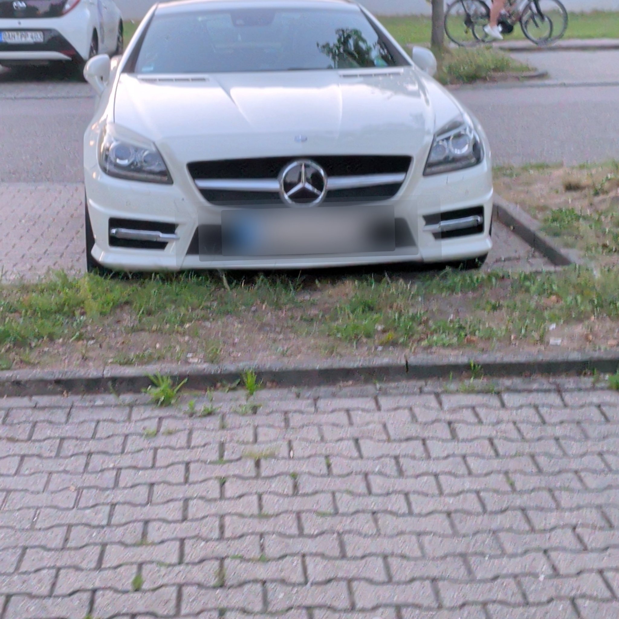 2011 Mercedes-Benz SLK (R172)