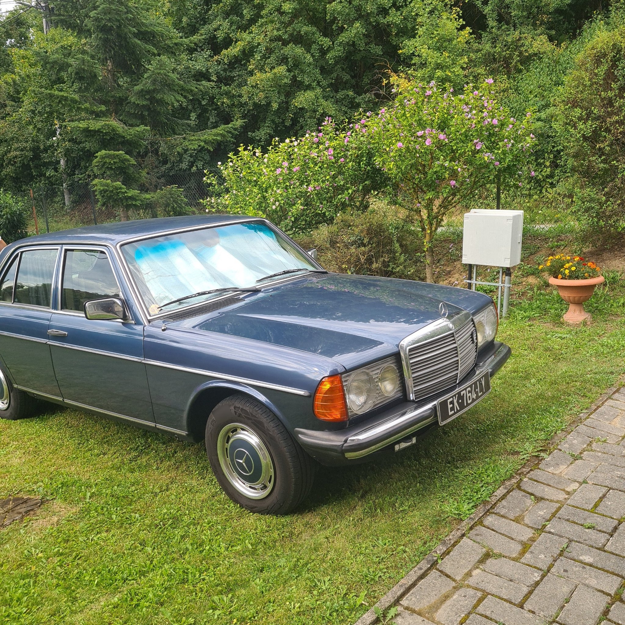 1976 Mercedes-Benz W123