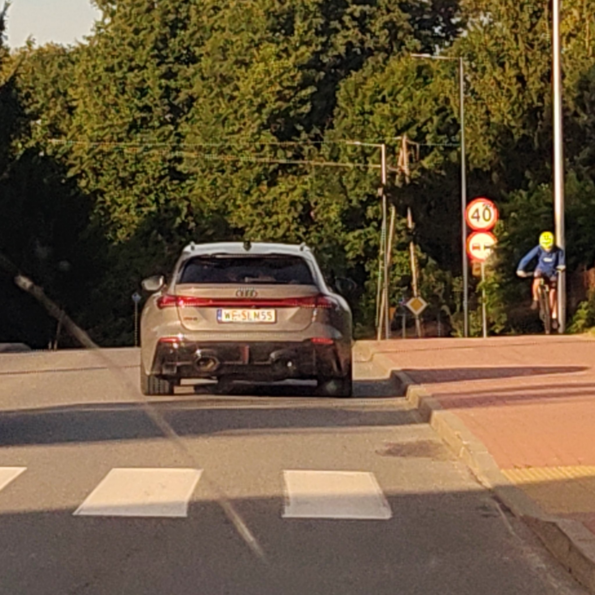 2019 Audi RS6 (C8) Avant
