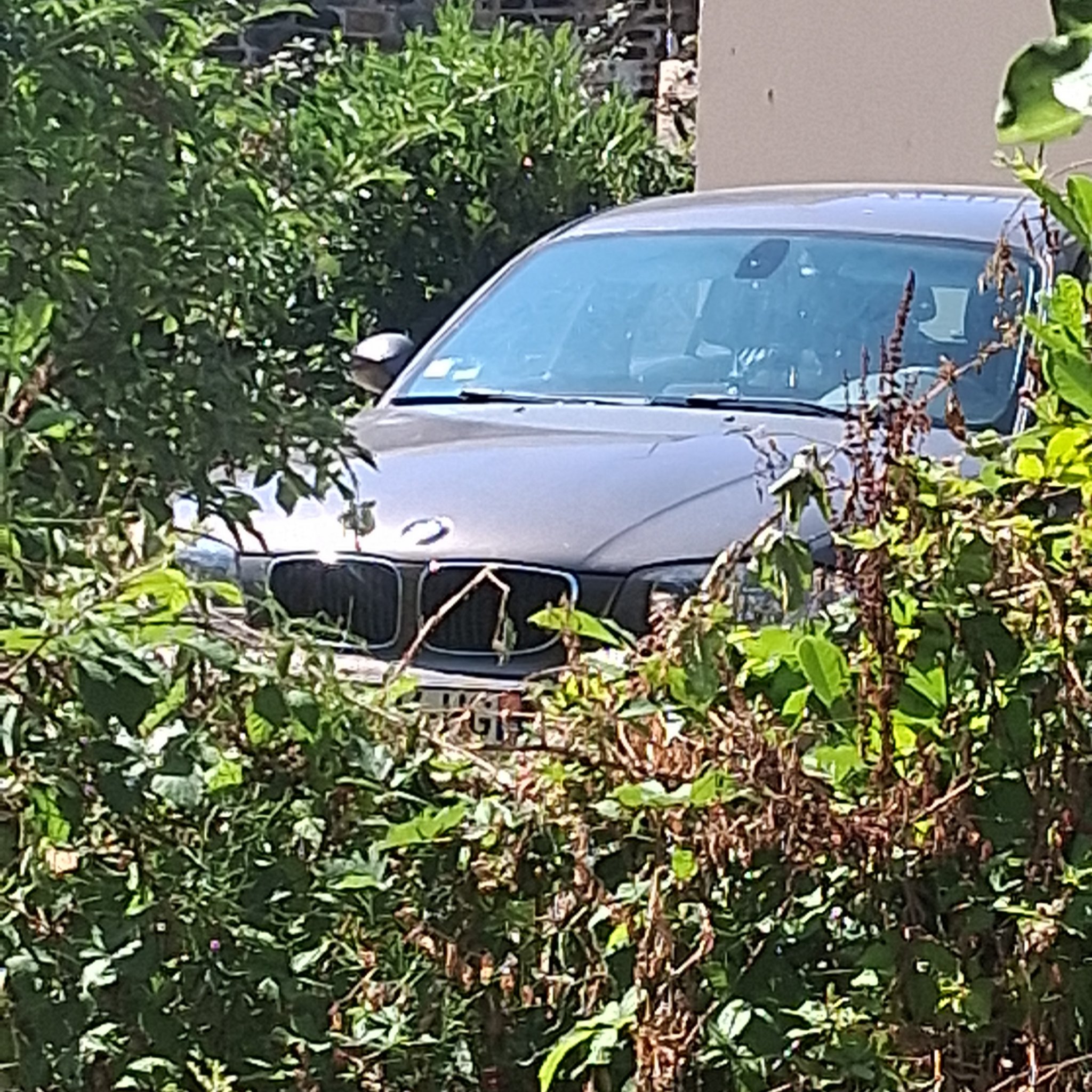 1998 BMW 3 Series (E46)