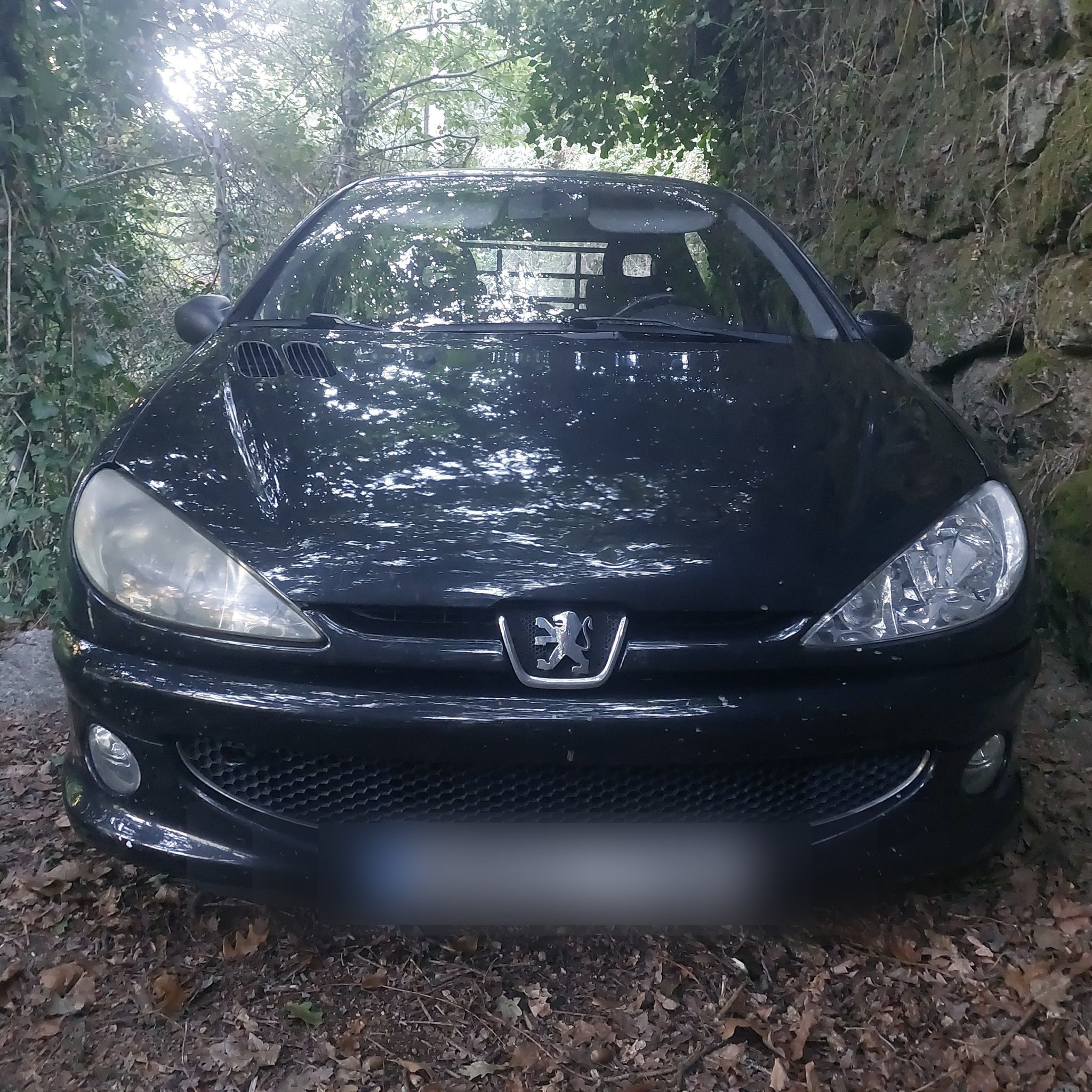 1998 Peugeot 206
