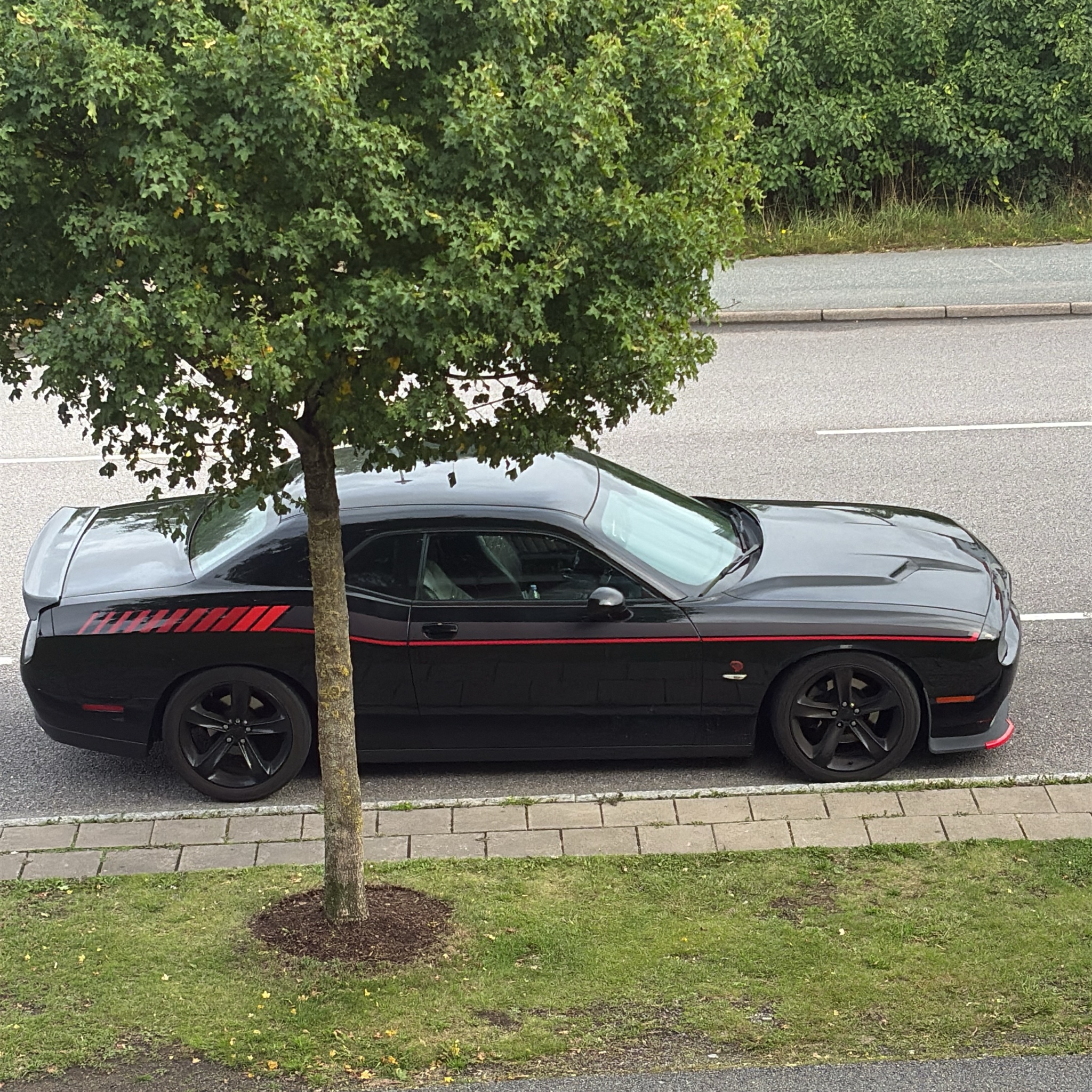 2008 Dodge Challenger (LC)