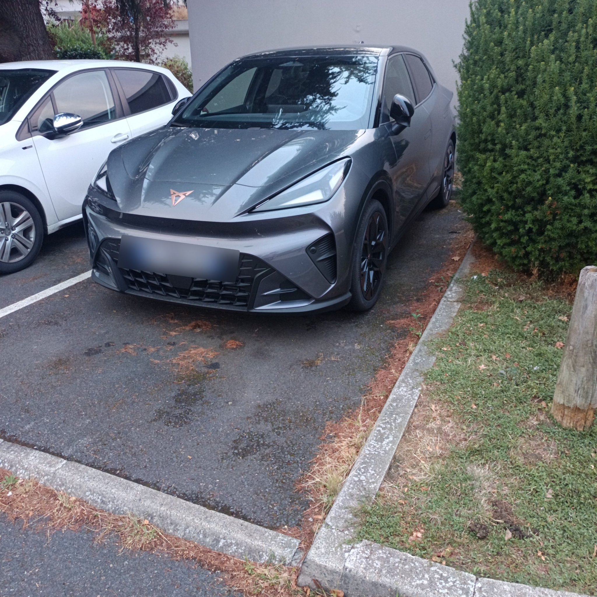 2024 Cupra Tavascan