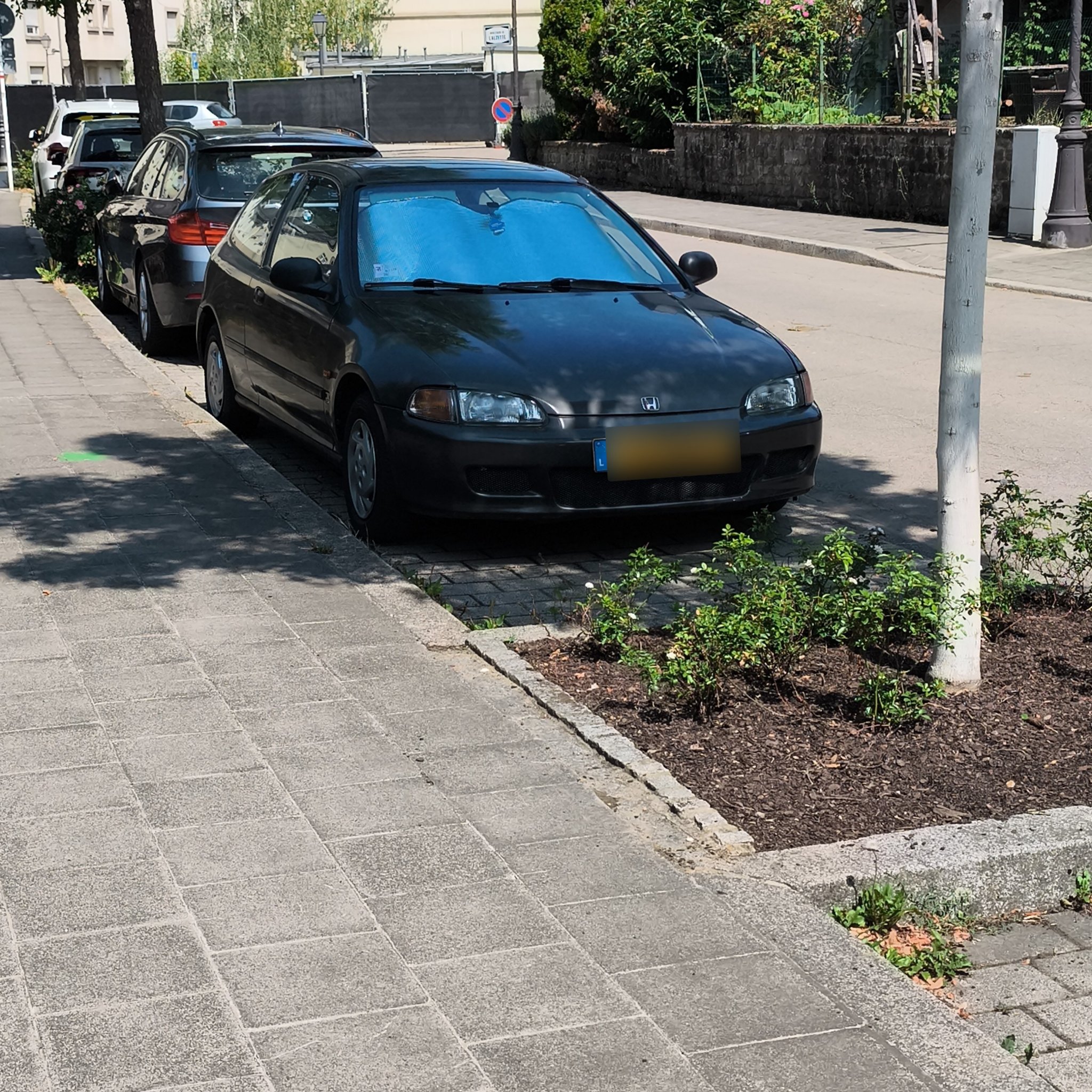 1991 Honda Civic (EG) Hatchback