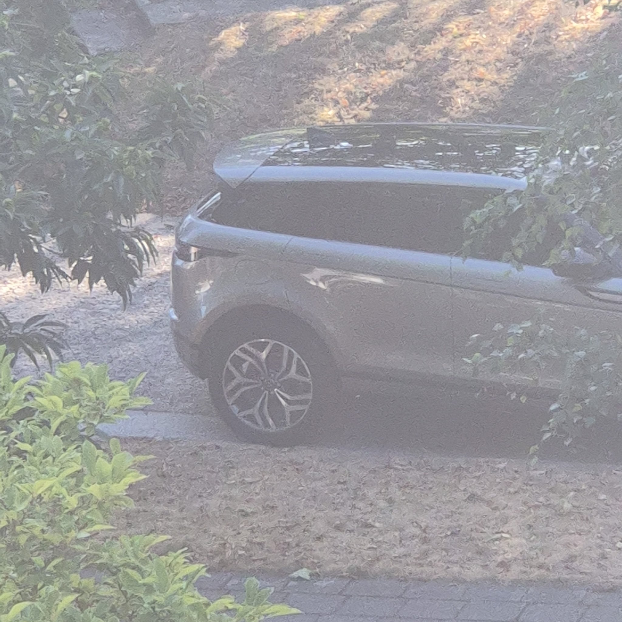 2019 Land Rover Range Rover Evoque (L551)