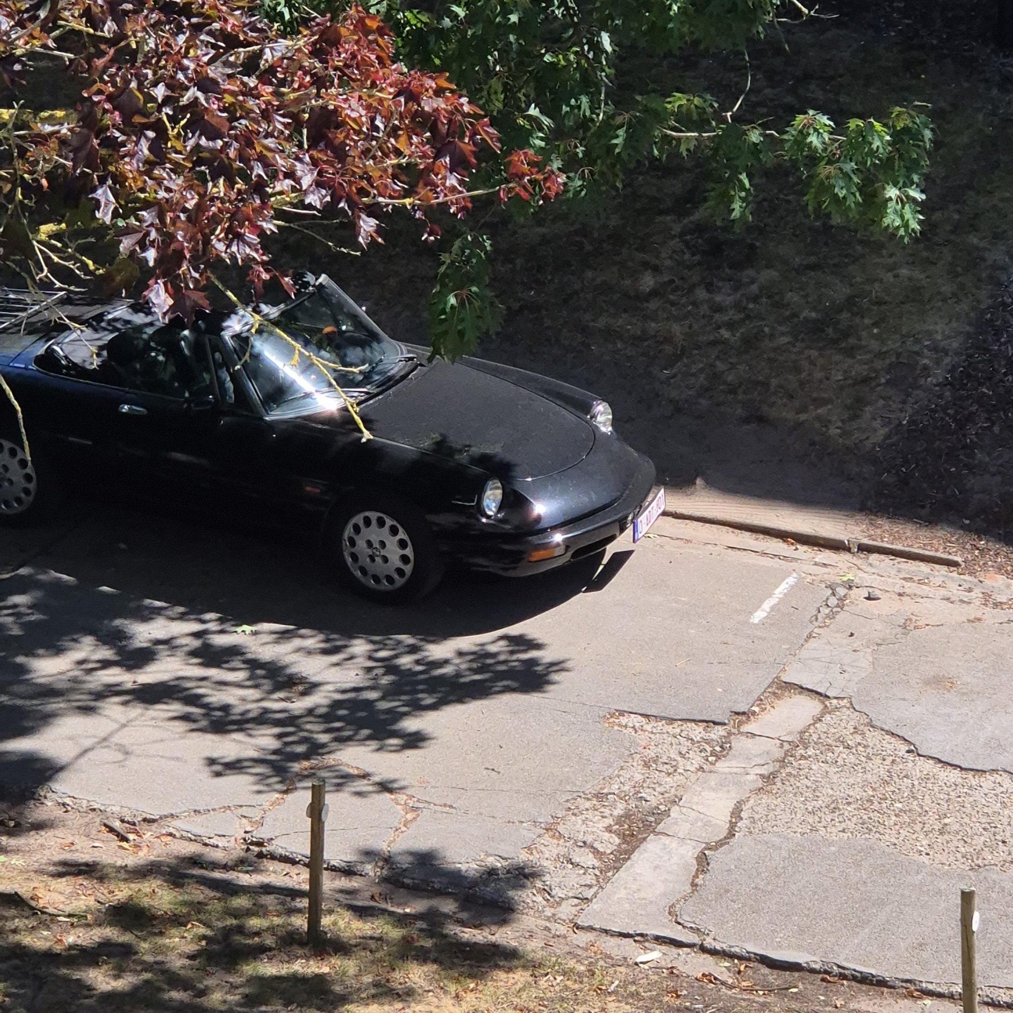 1990 Porsche 911 (964) Carrera Cabriolet
