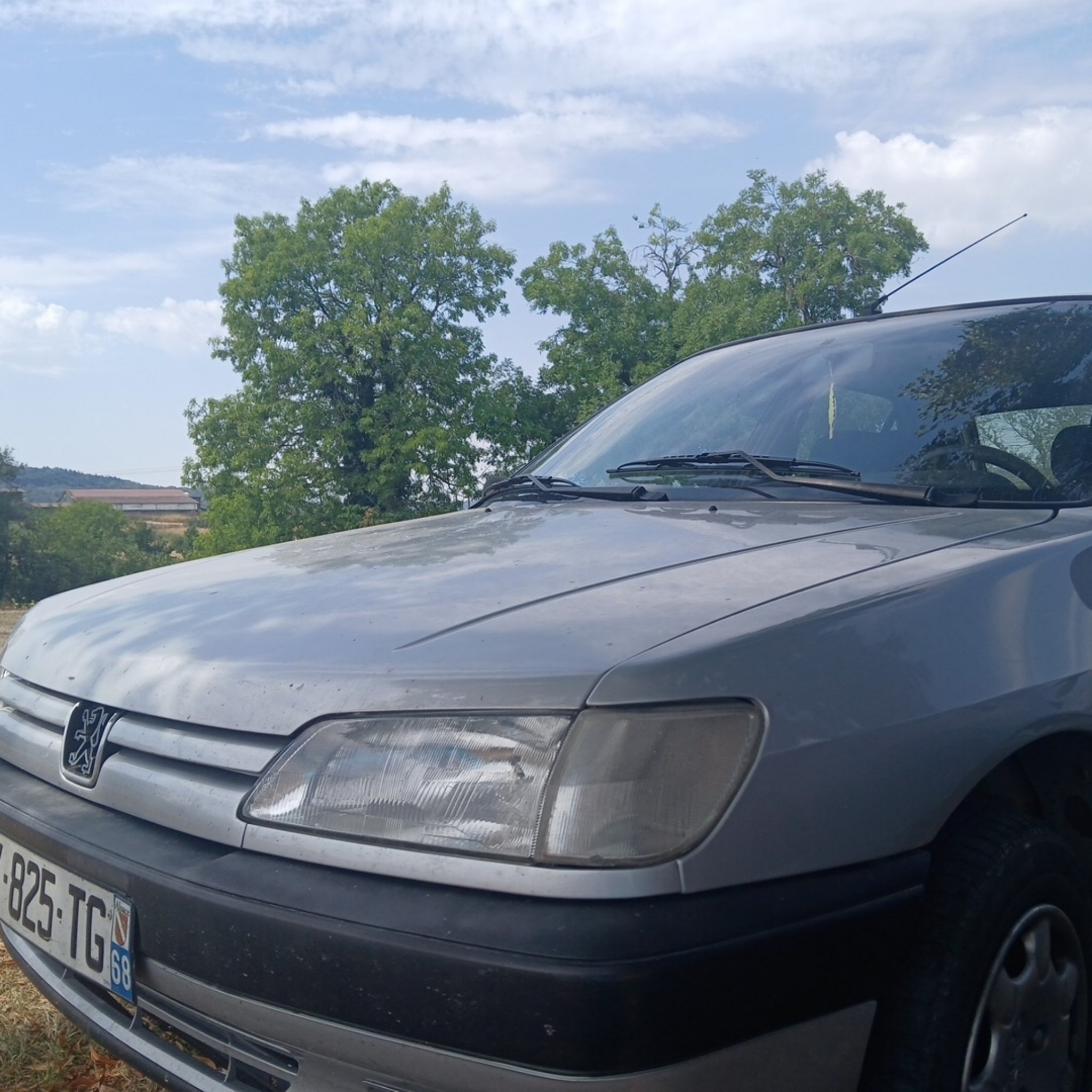 1993 Peugeot 306